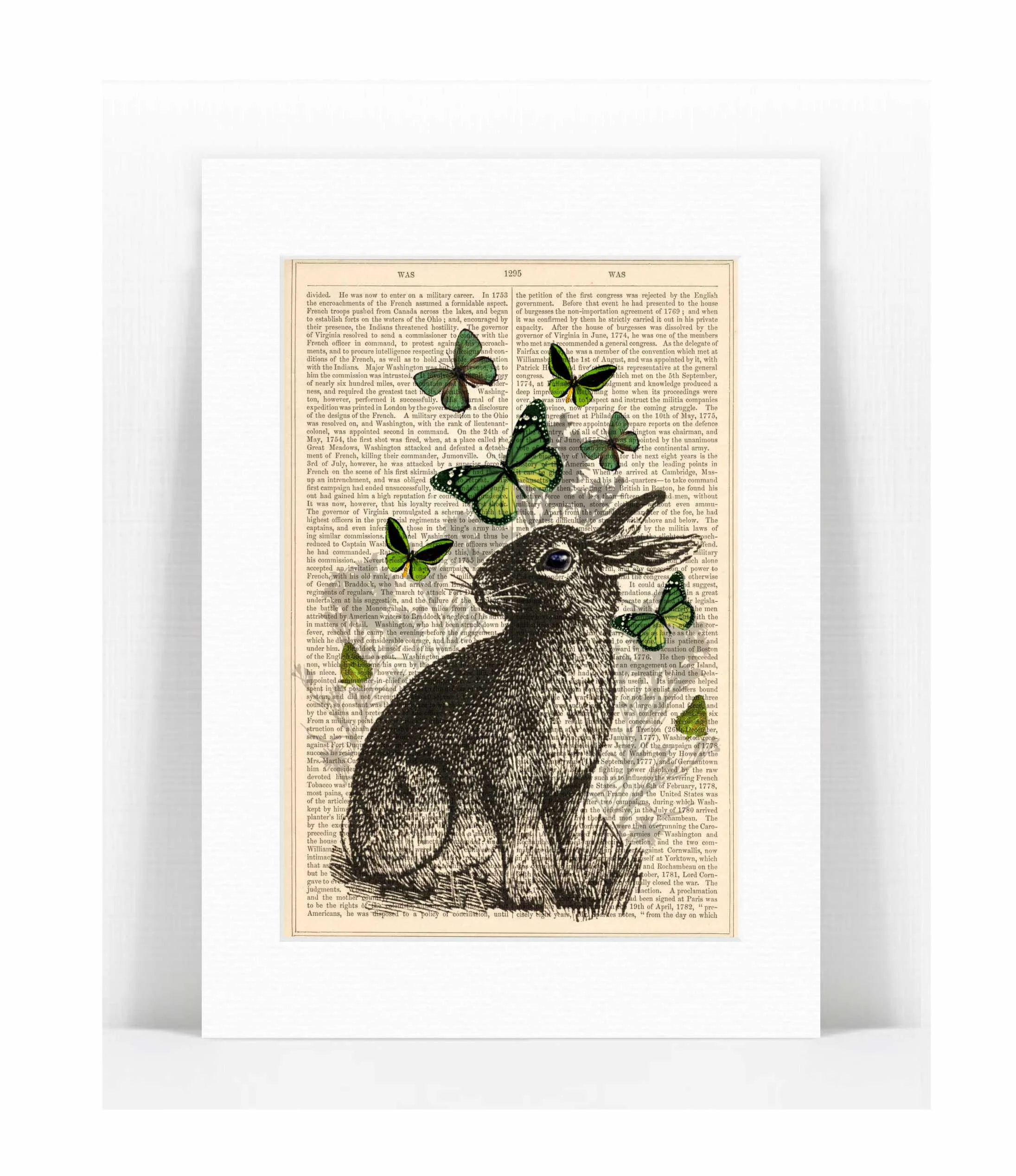 rabbit butterflies.jpg