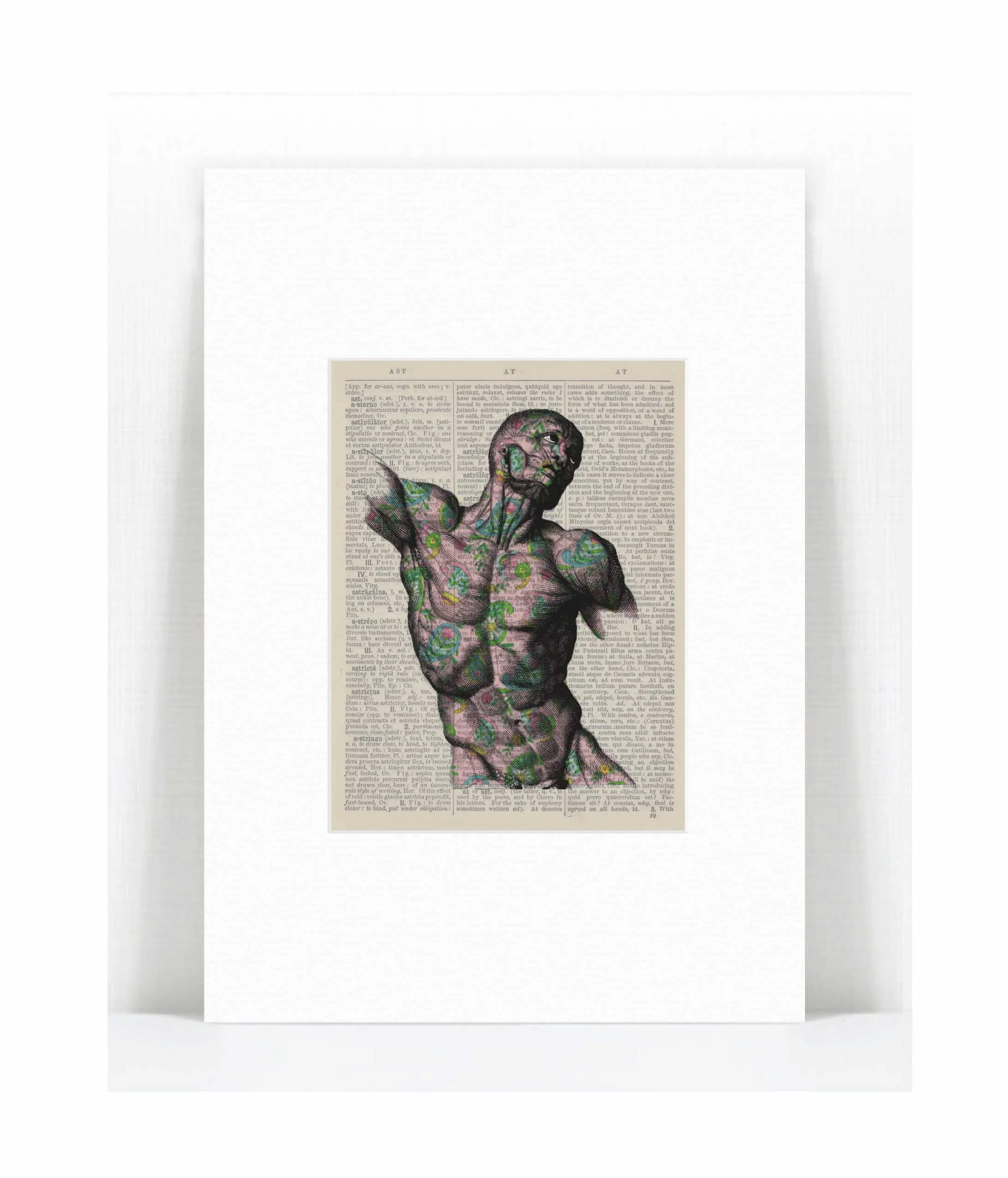 torso paisley.jpg