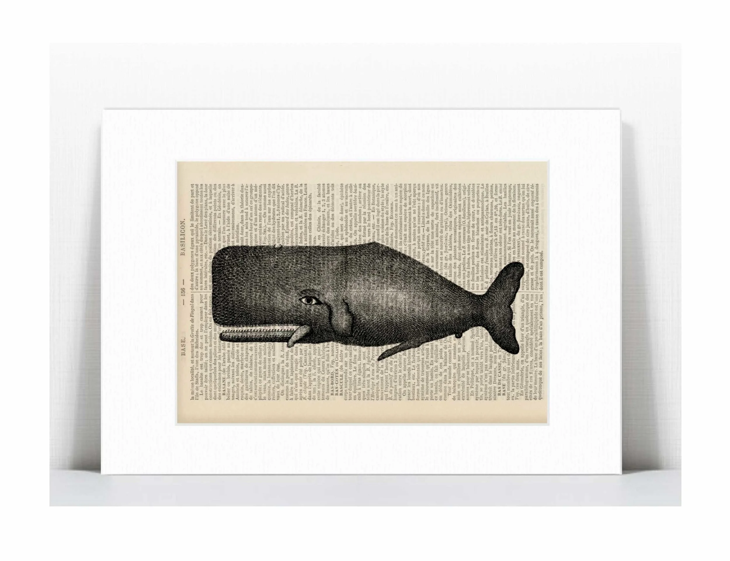 whale 1.jpg