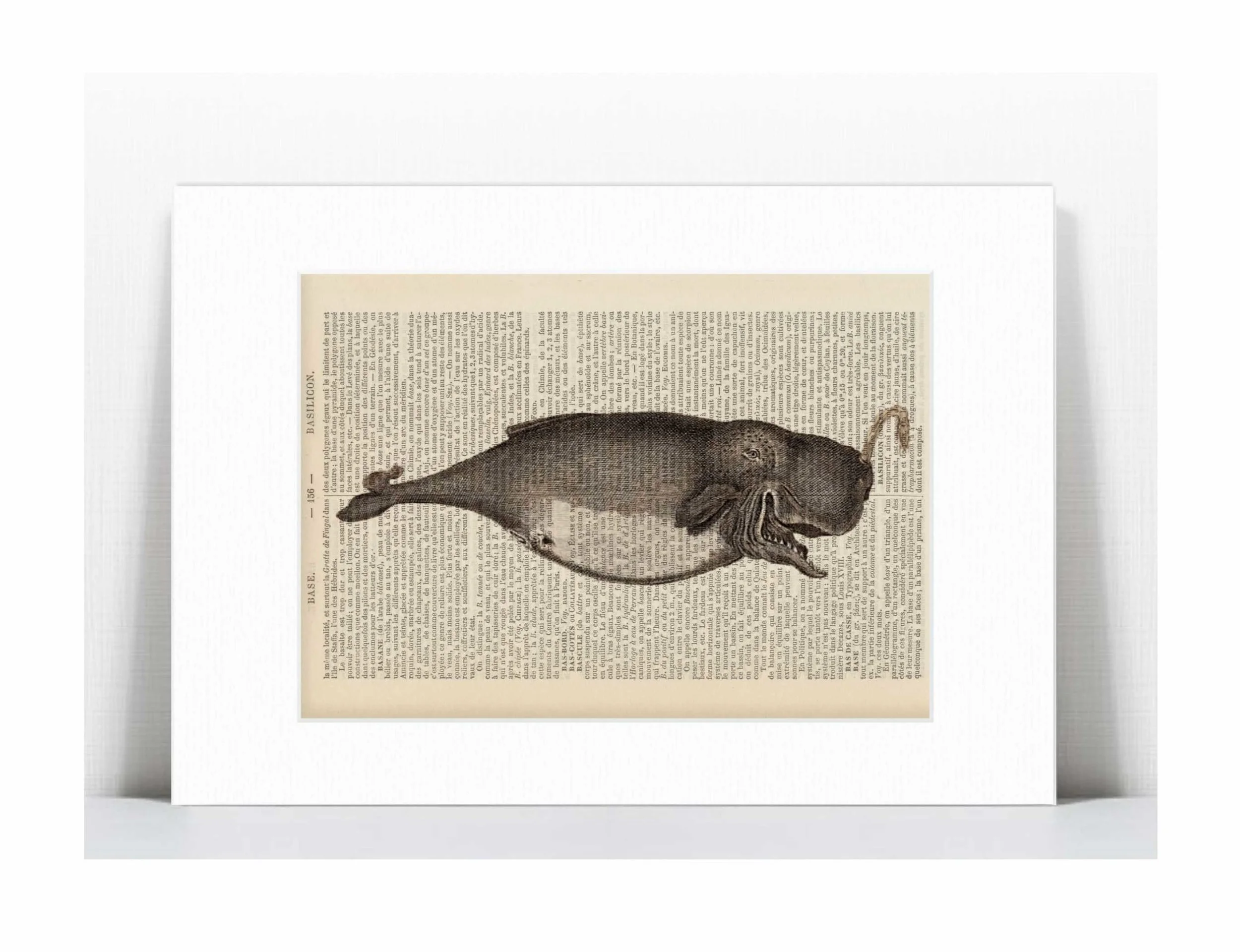 whale 2.jpg