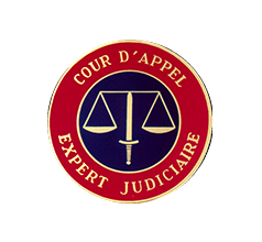 EXPERT-JUDICIAIRE 1.png