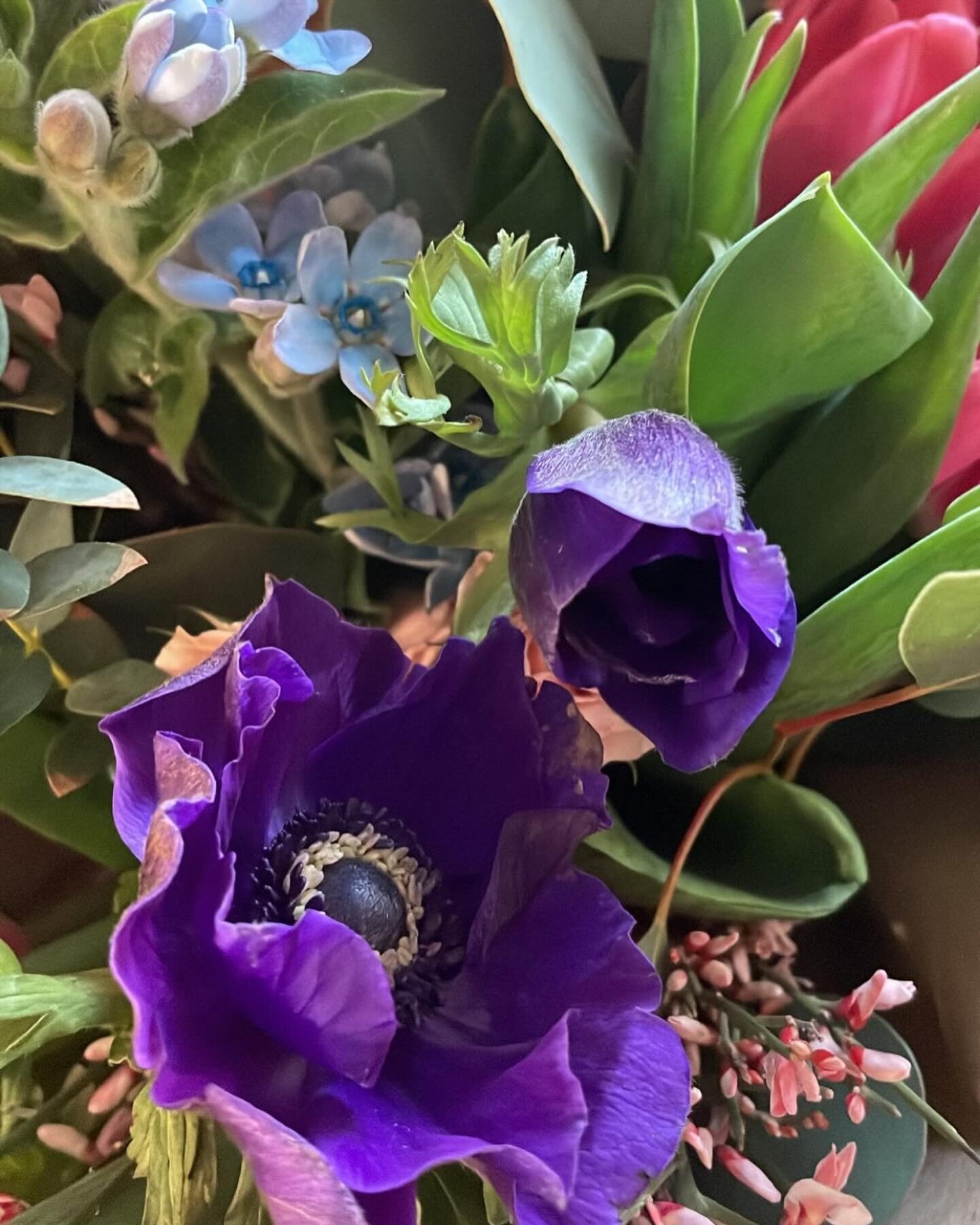 We are so so excited that @muse.morethanflowers has created some beautiful posies and bunches for the shop. Sveta is the reason we won best Christmas window out first year in the shop, and she&rsquo;s dropping these local, seasonal beauties into the 