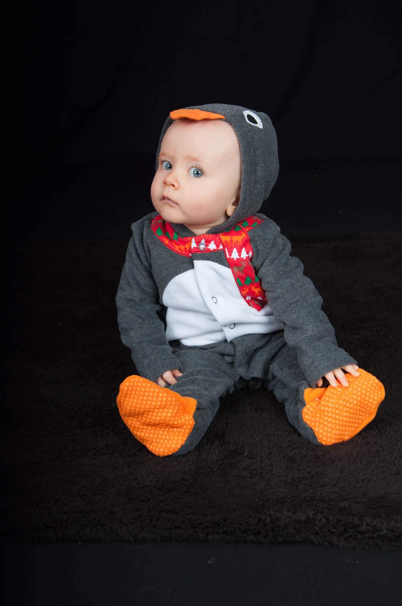 2013 Nov Studio 675 4_ Lotty.jpg