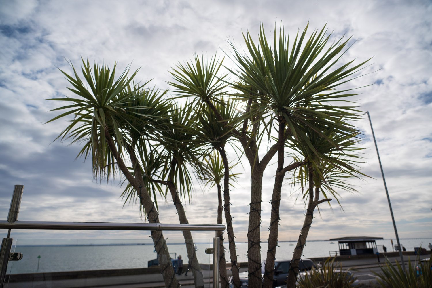 Roslin Beach Hotel Wedding Photography Britta and David 0383.jpg