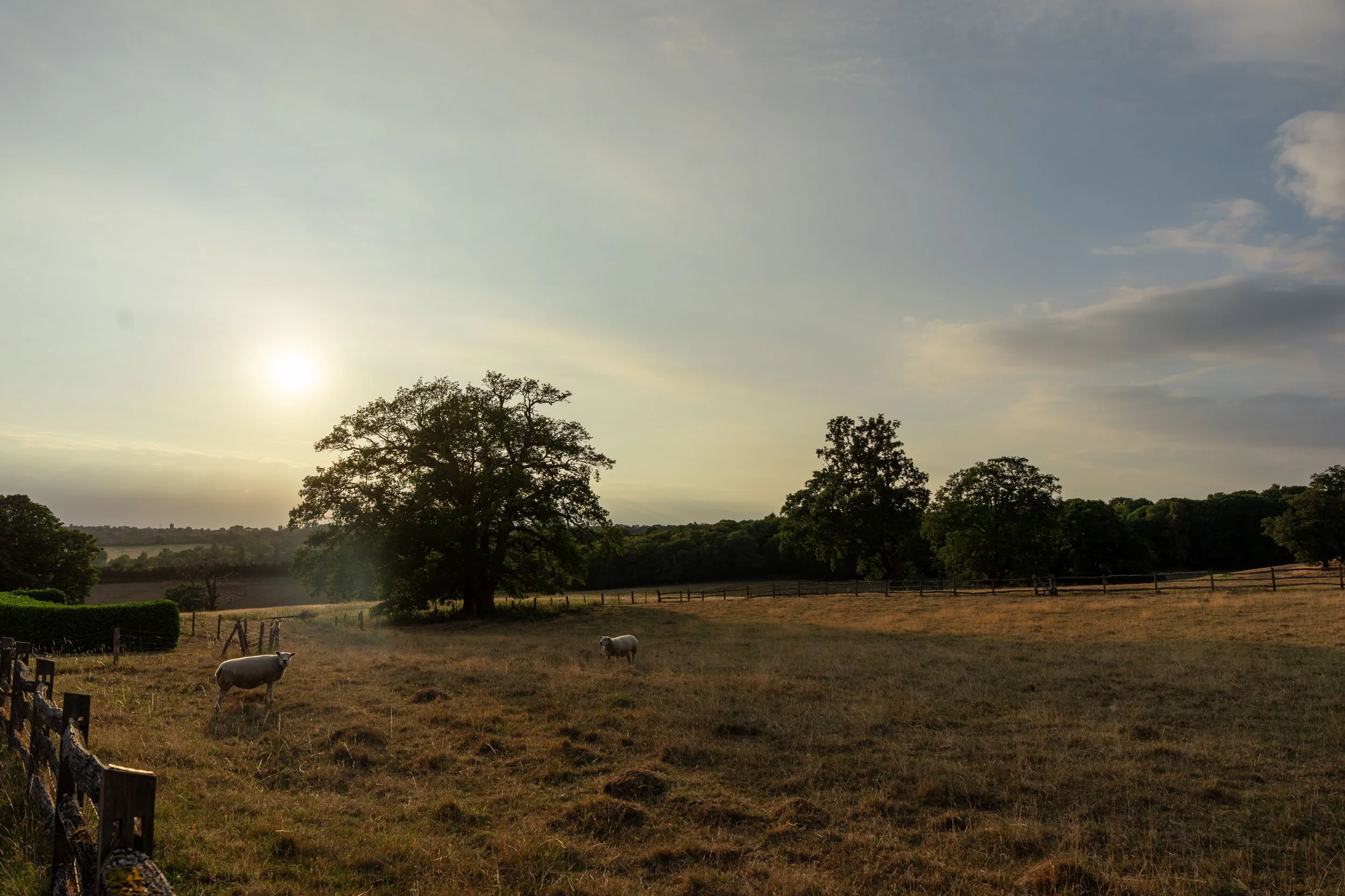 Gaynes Park ~ Angie & Darren 058.jpg