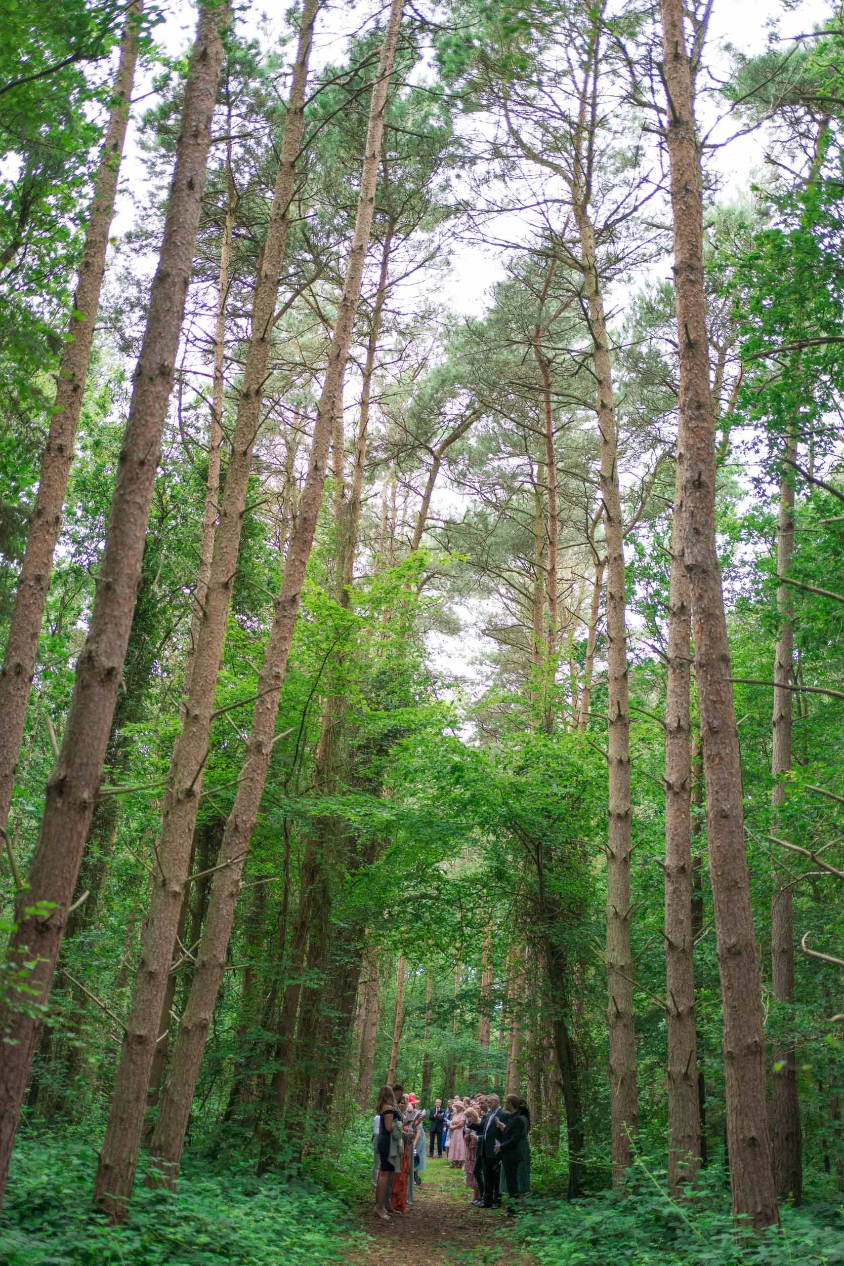 Captains Woods Barn 106.jpg