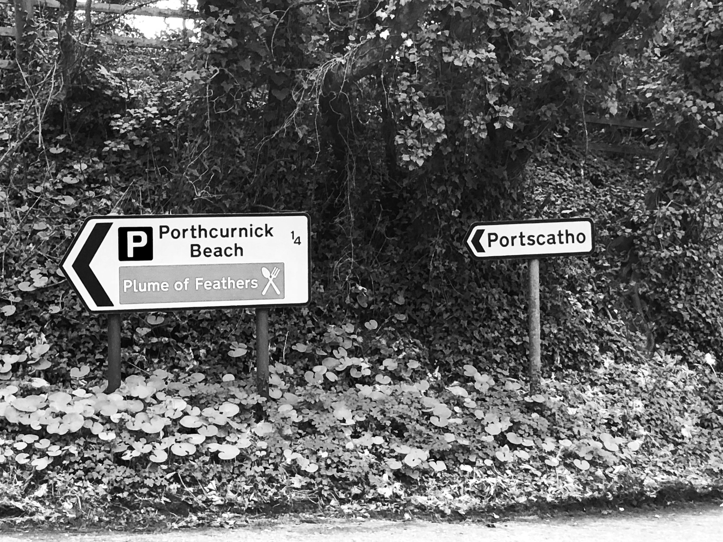 Porthcurnick beach