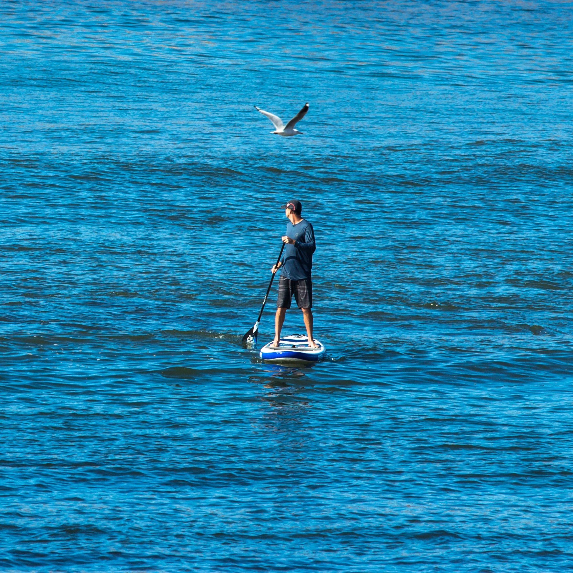 Hire stand up paddleboards
