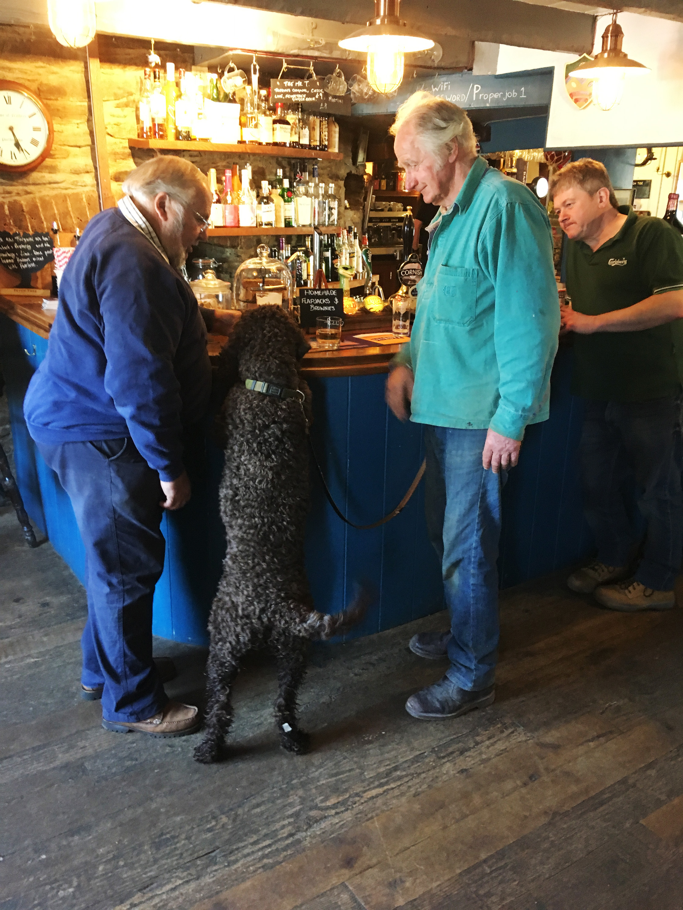 Dog friendly pub