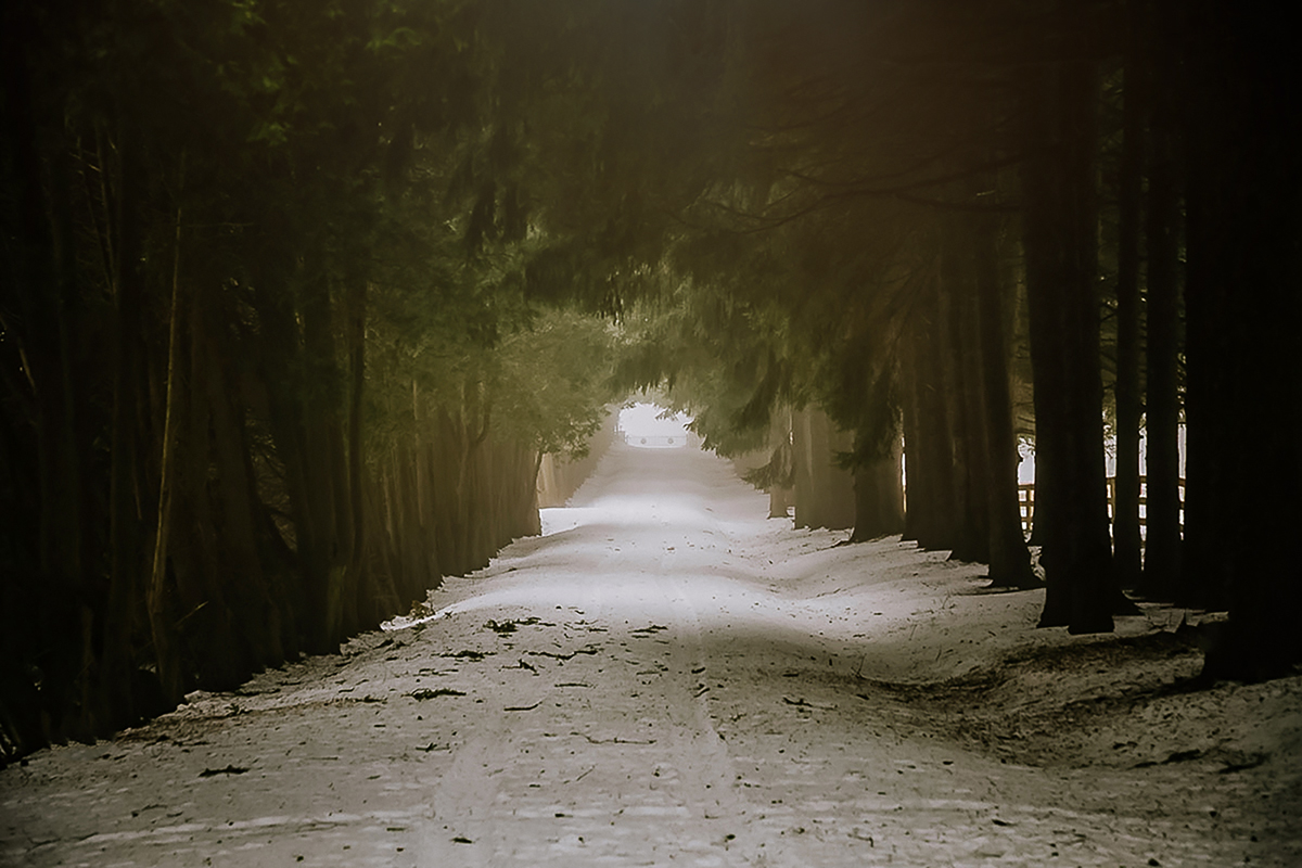 Dana Korba Road.jpg