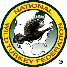 nWtf.jpeg