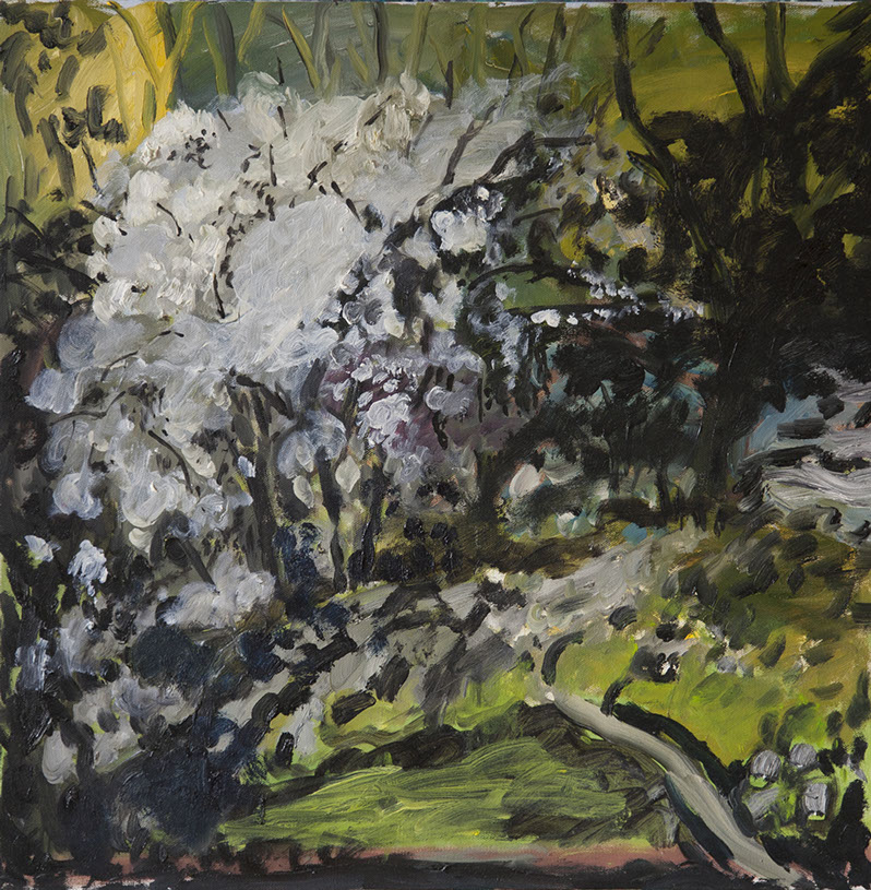 Late Spring Series 2013