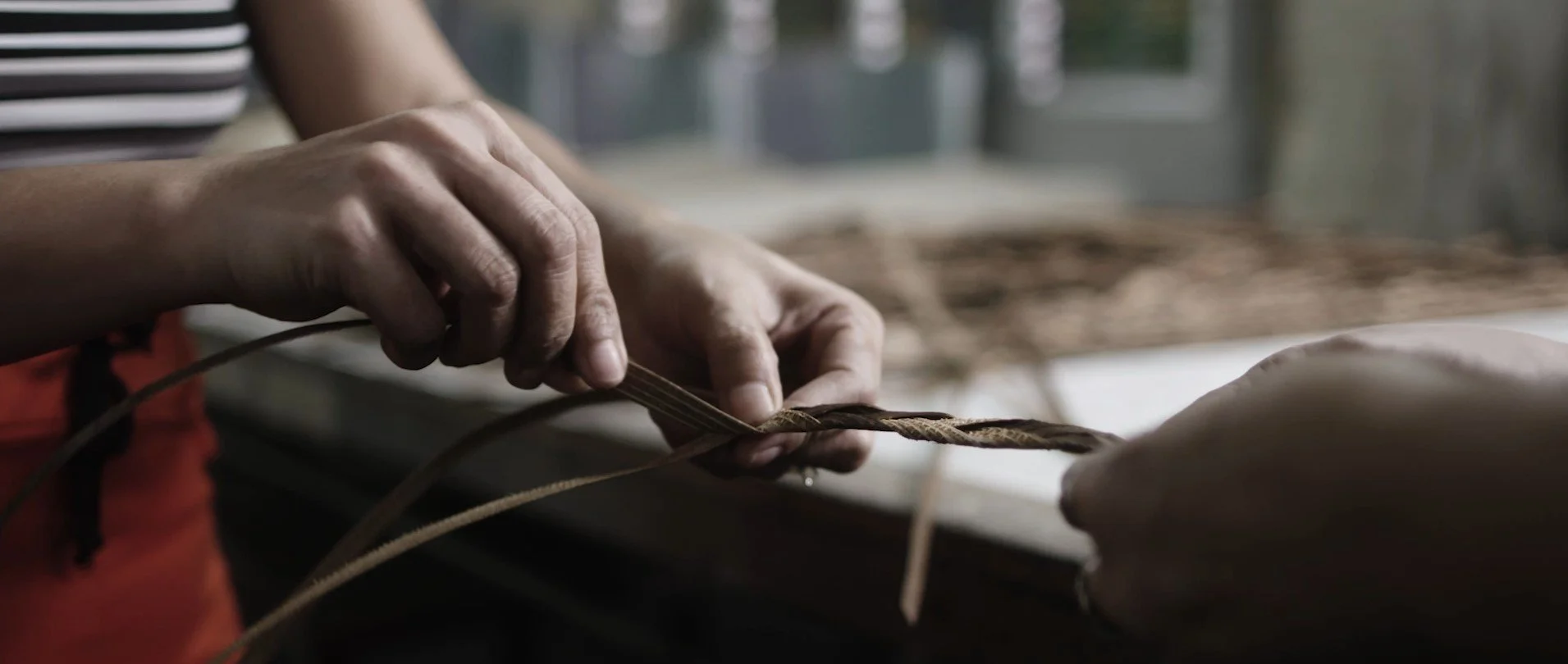 Mark Alexander wallcoverings