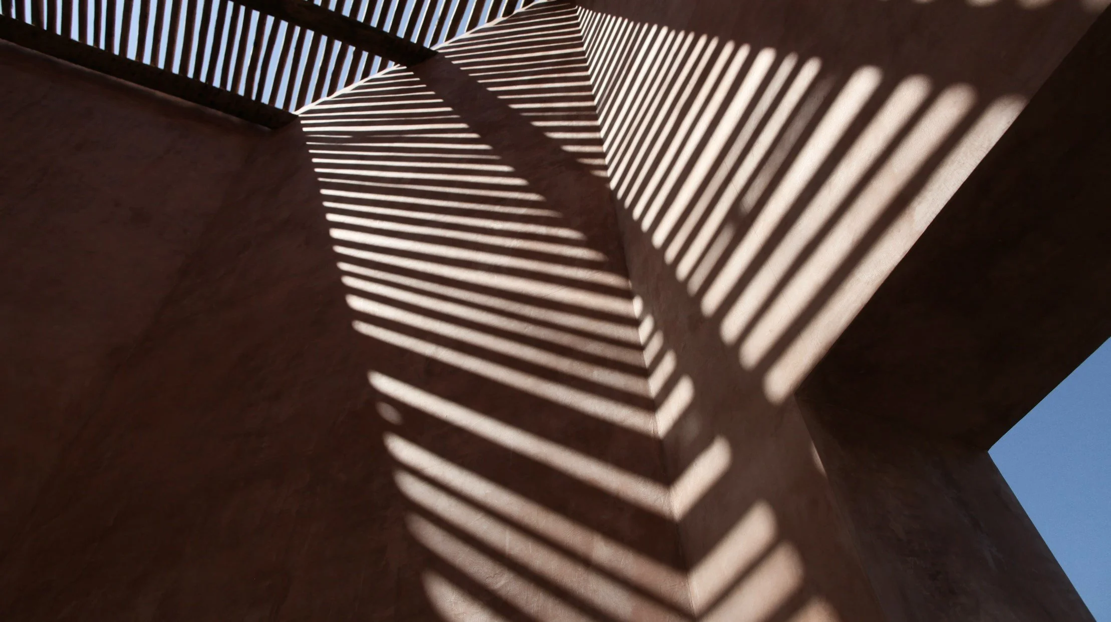 Zinc - Salvador collection 2023 v6