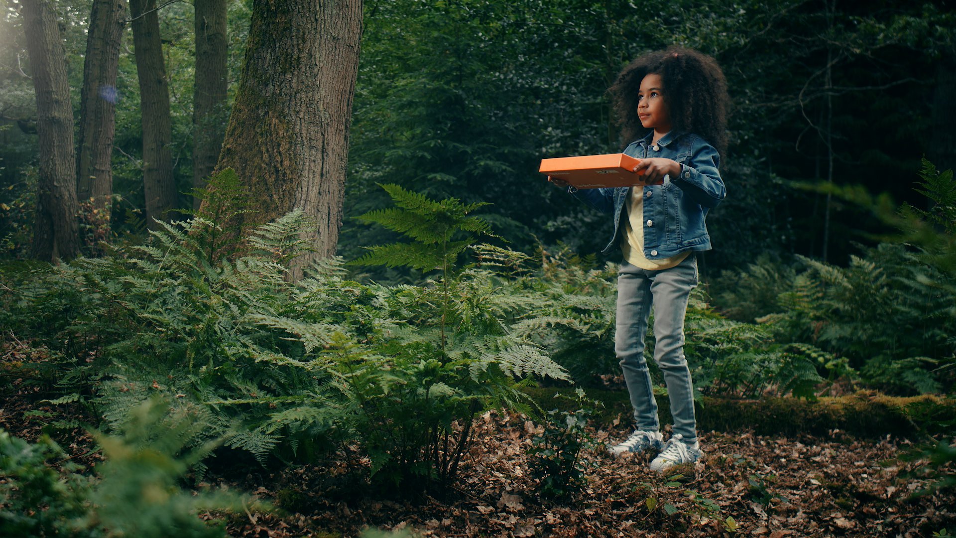 woodland trust 1.jpg