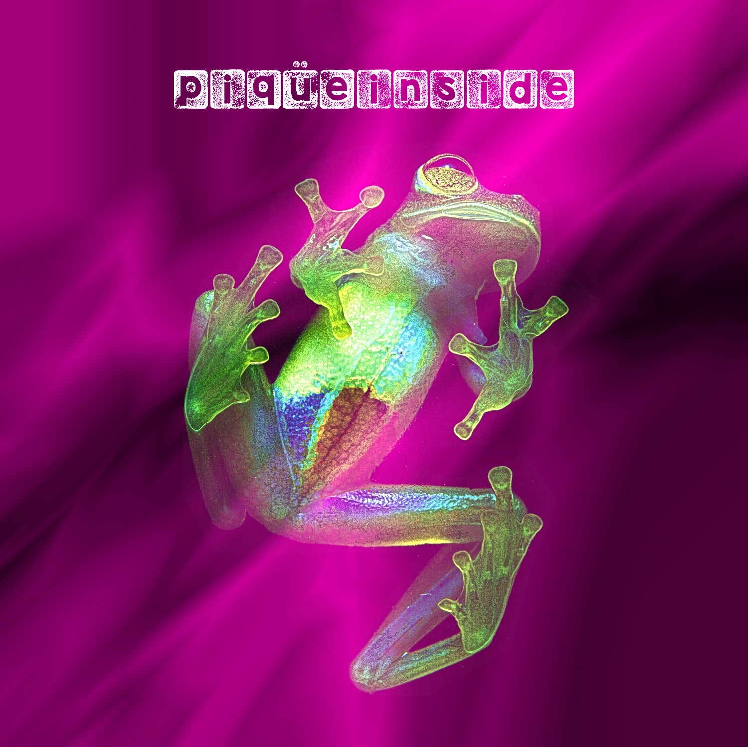 piqueInside_COVER.png