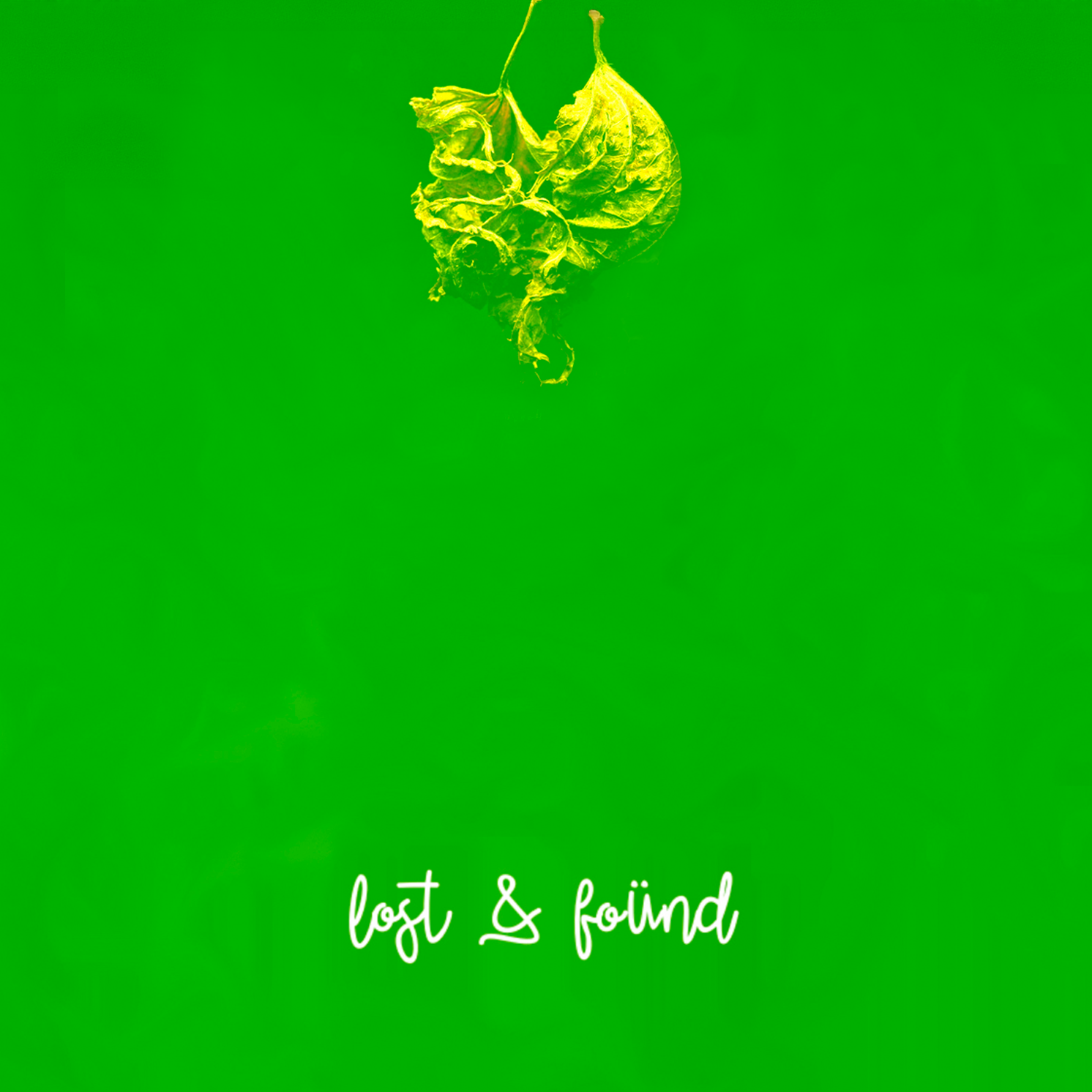 lostAndFound_DISC.png