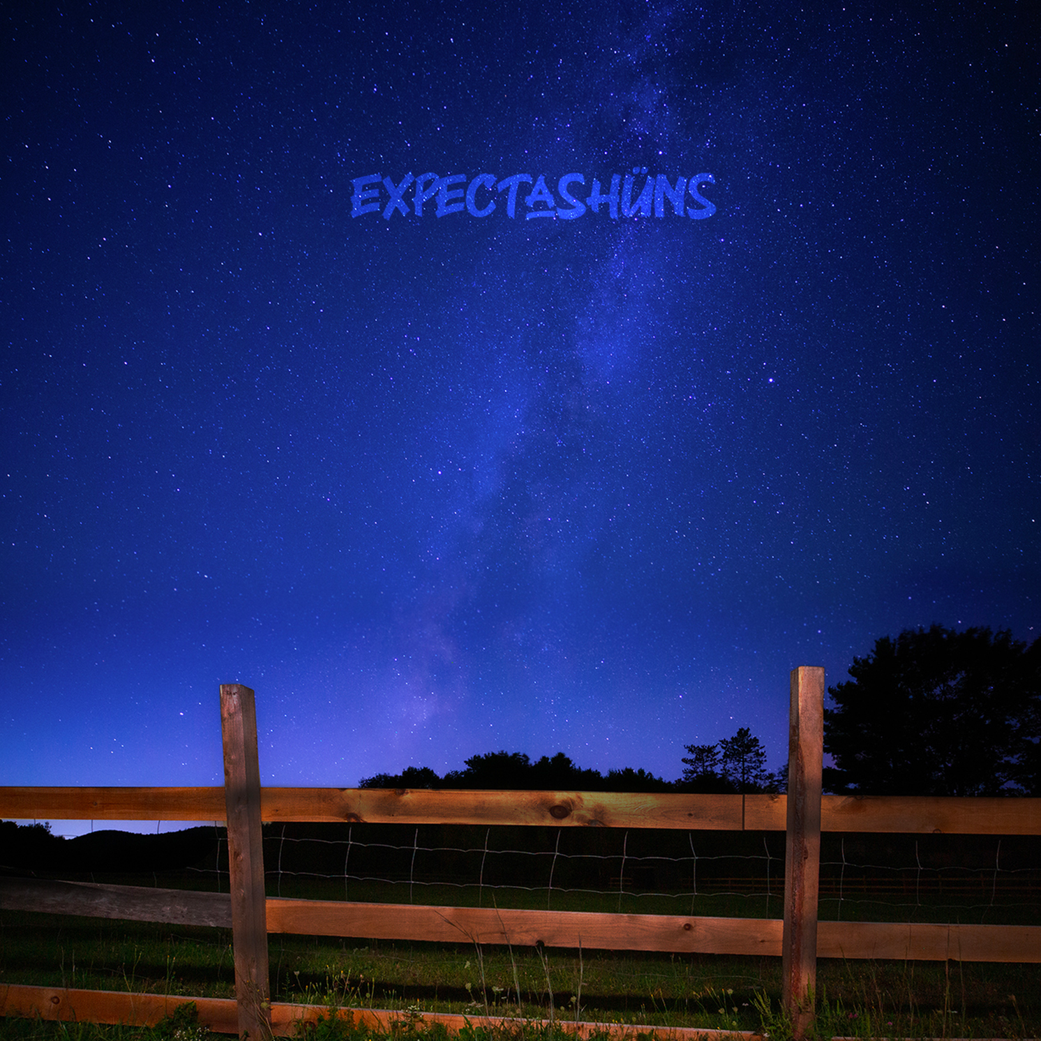 expectashuns_DISC.png