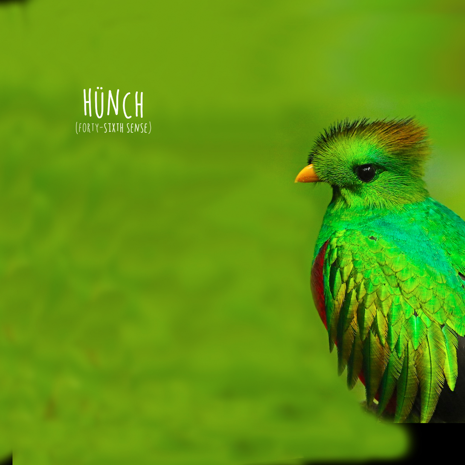 hunch_DISC.png