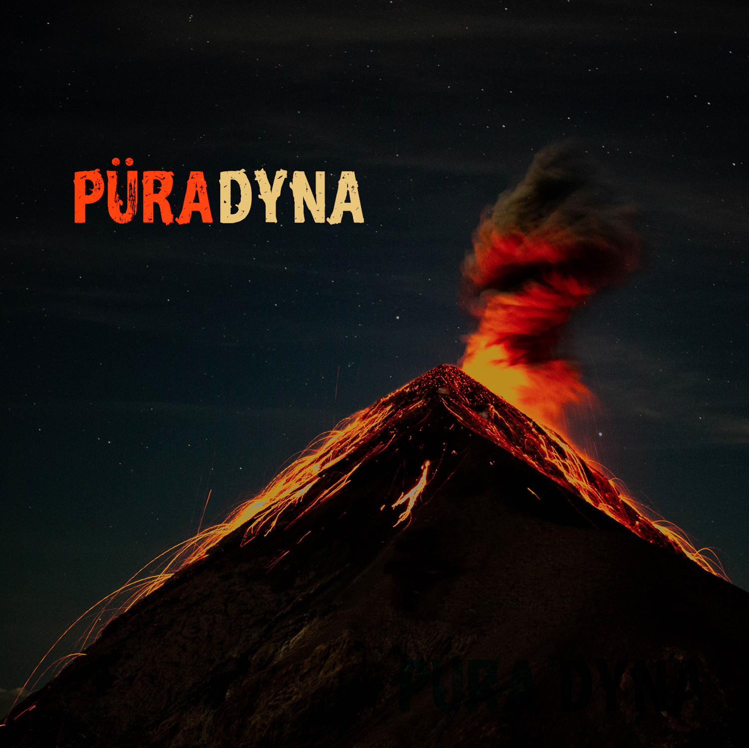 puraDYNA_COVER.png