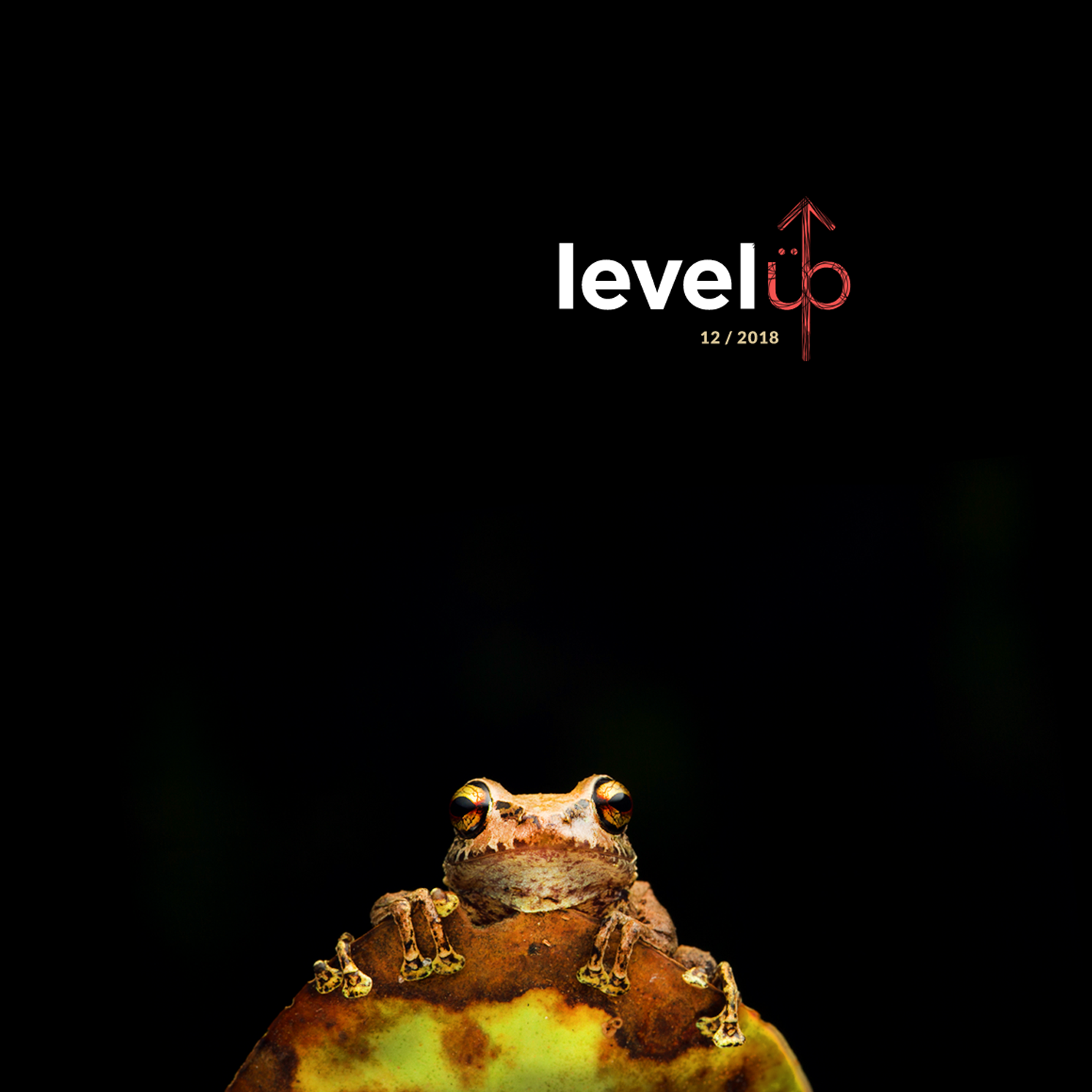 levelUp_DISC.png
