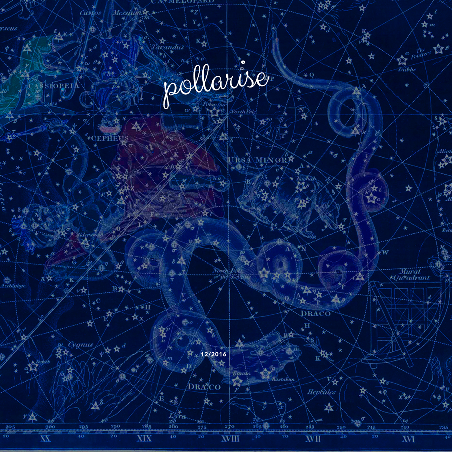 pollarise_DISC.png