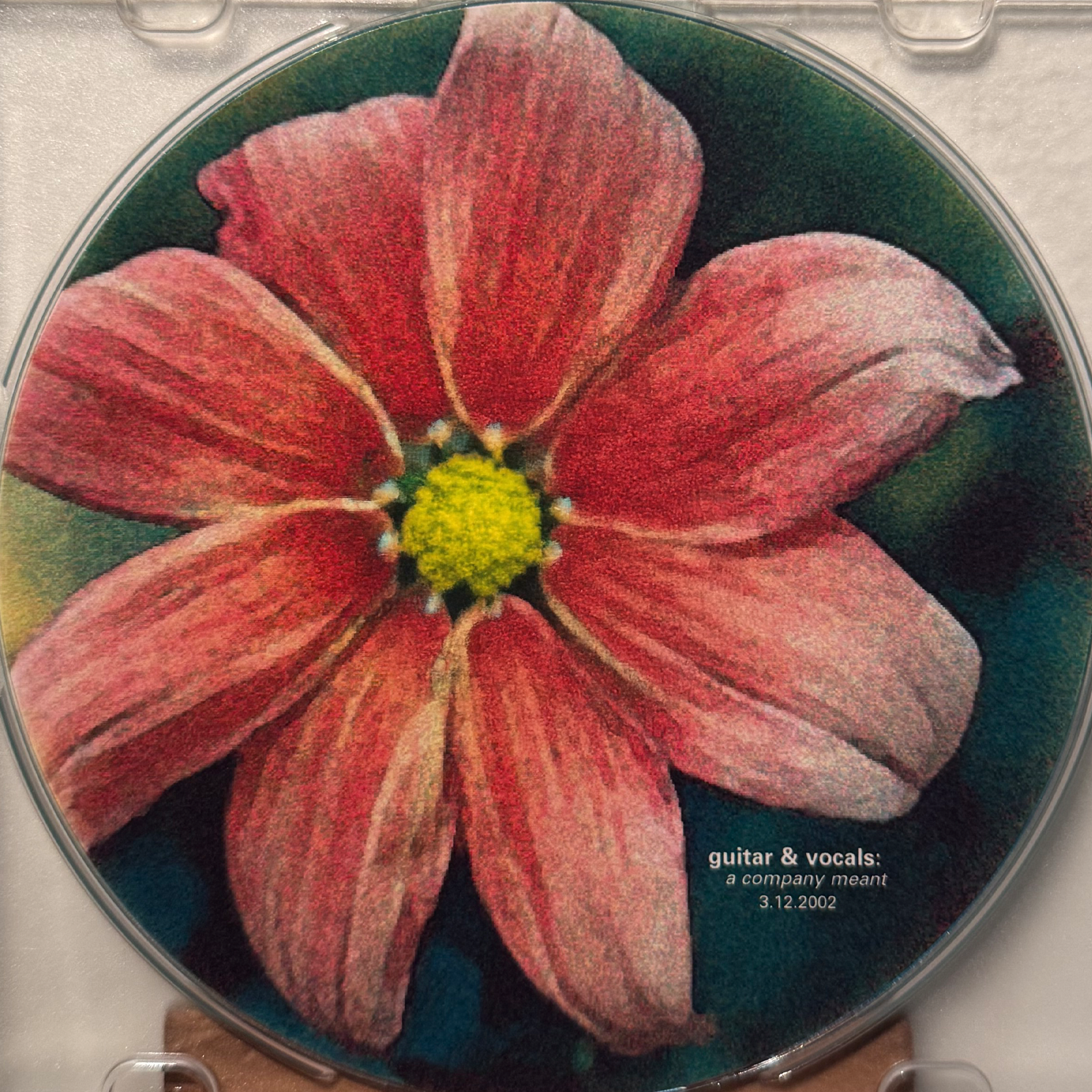guitarAndVocals_DISC.png