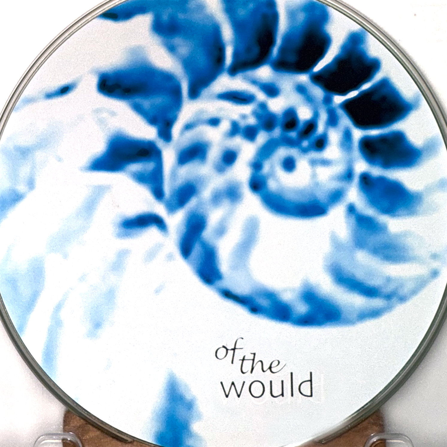 neckOfTheWould_DISC.png