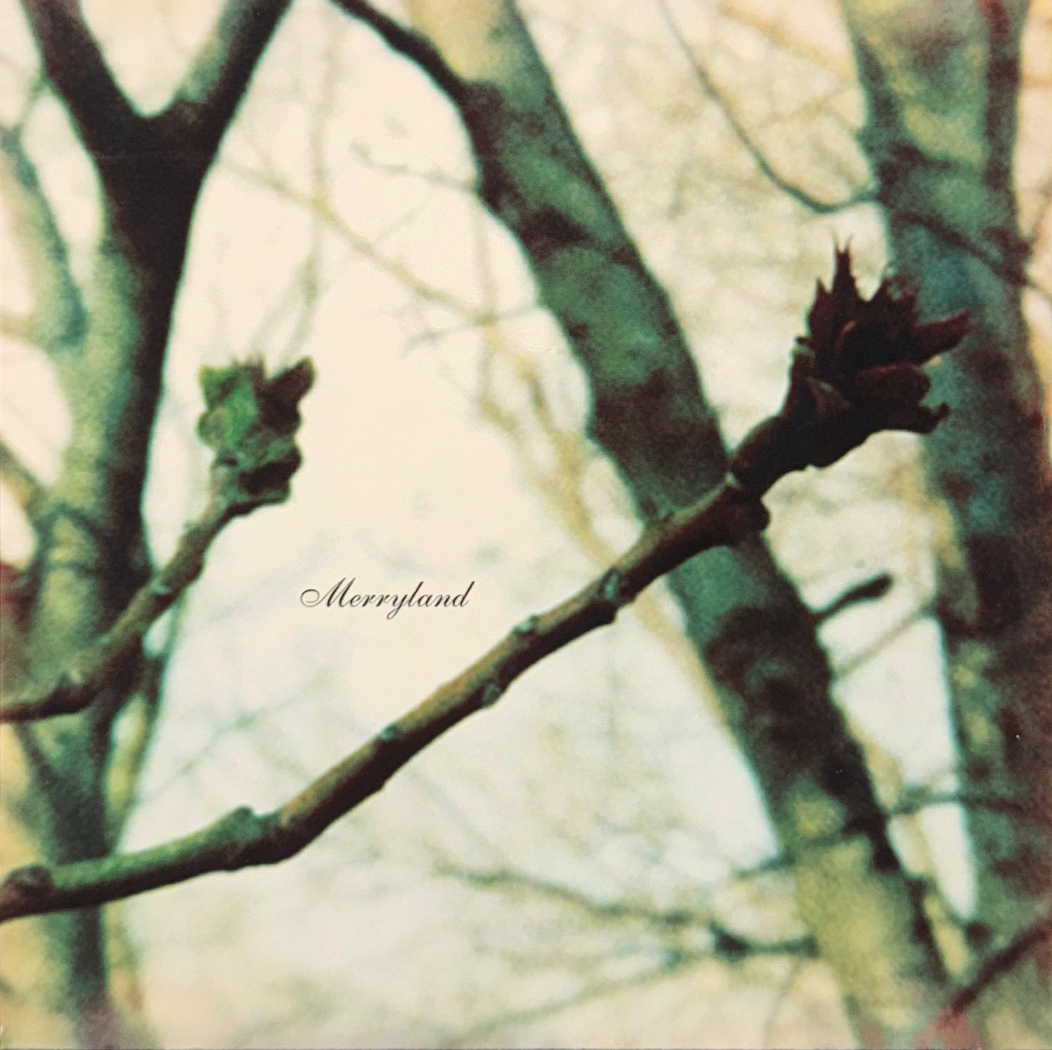 merryland_COVER.png
