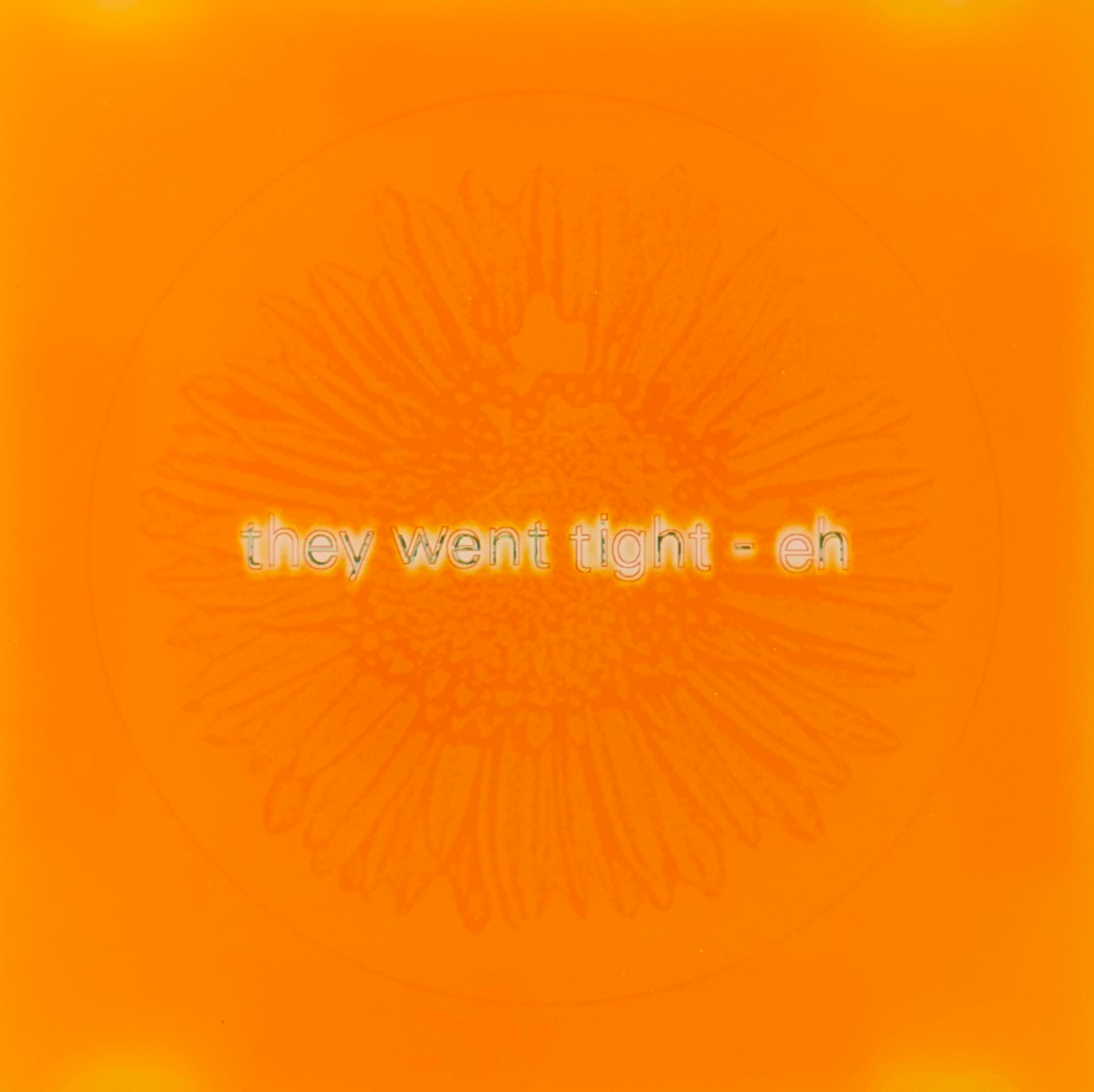 theyWentTightEh_COVER.png
