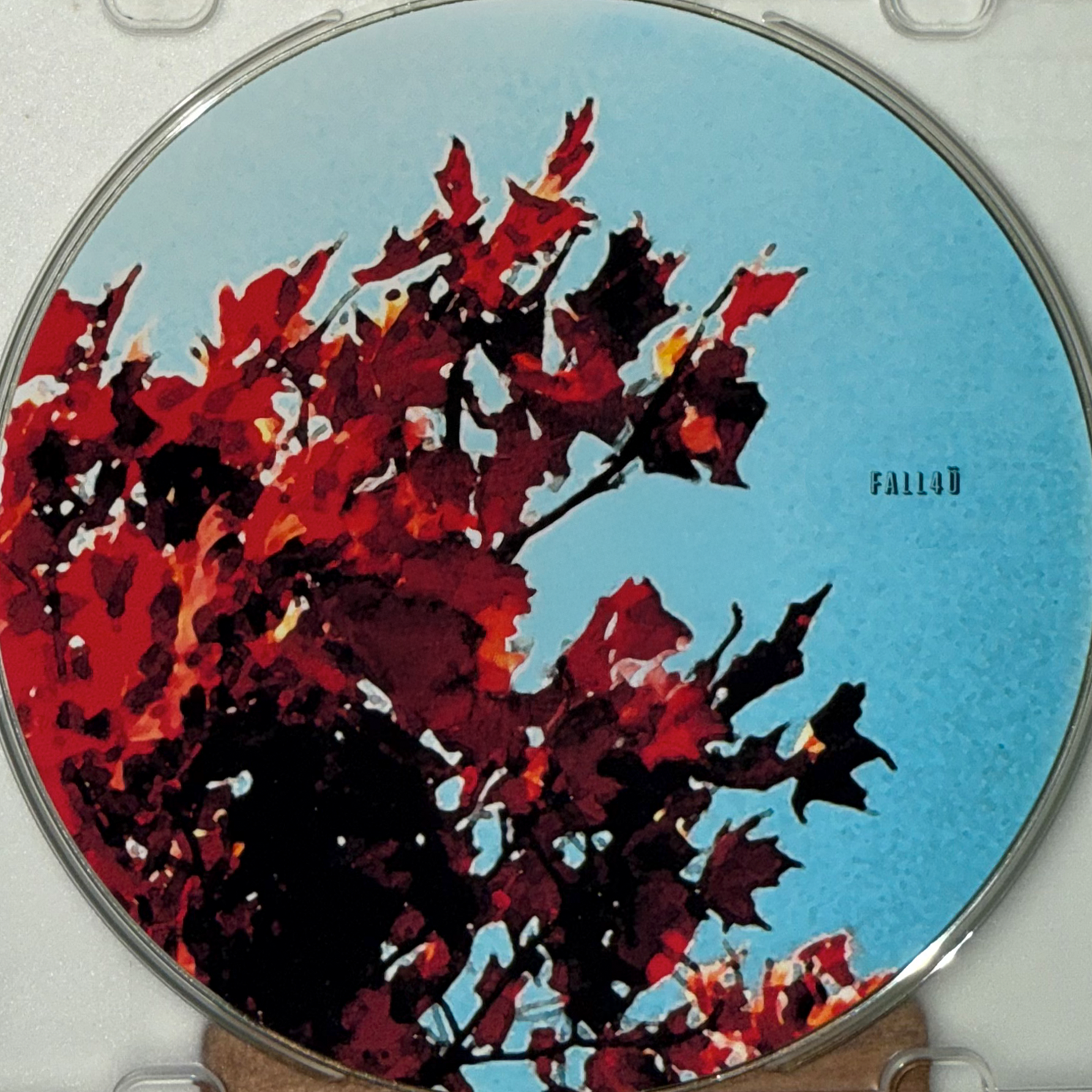 fall4U_DISC.png