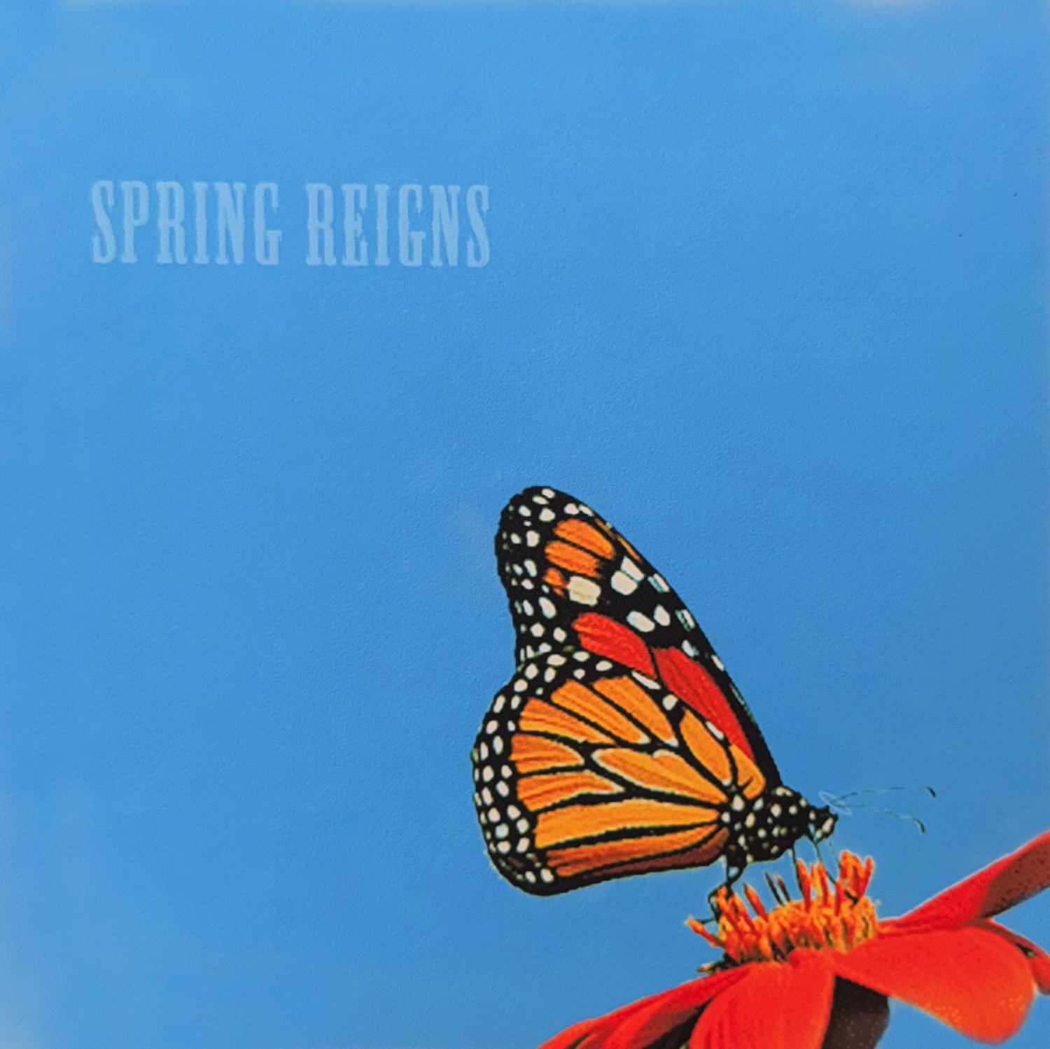 springReigns_COVER.png
