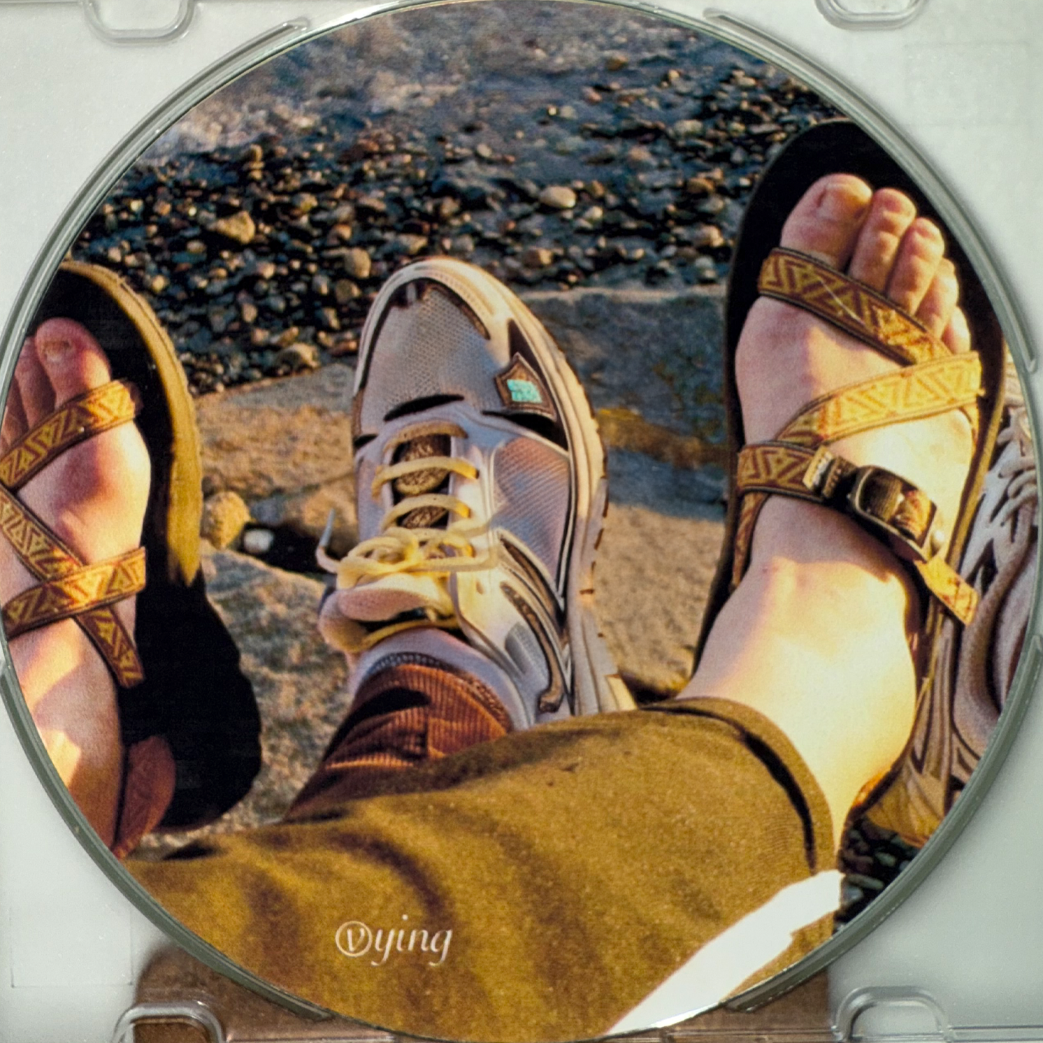 vying_DISC.png