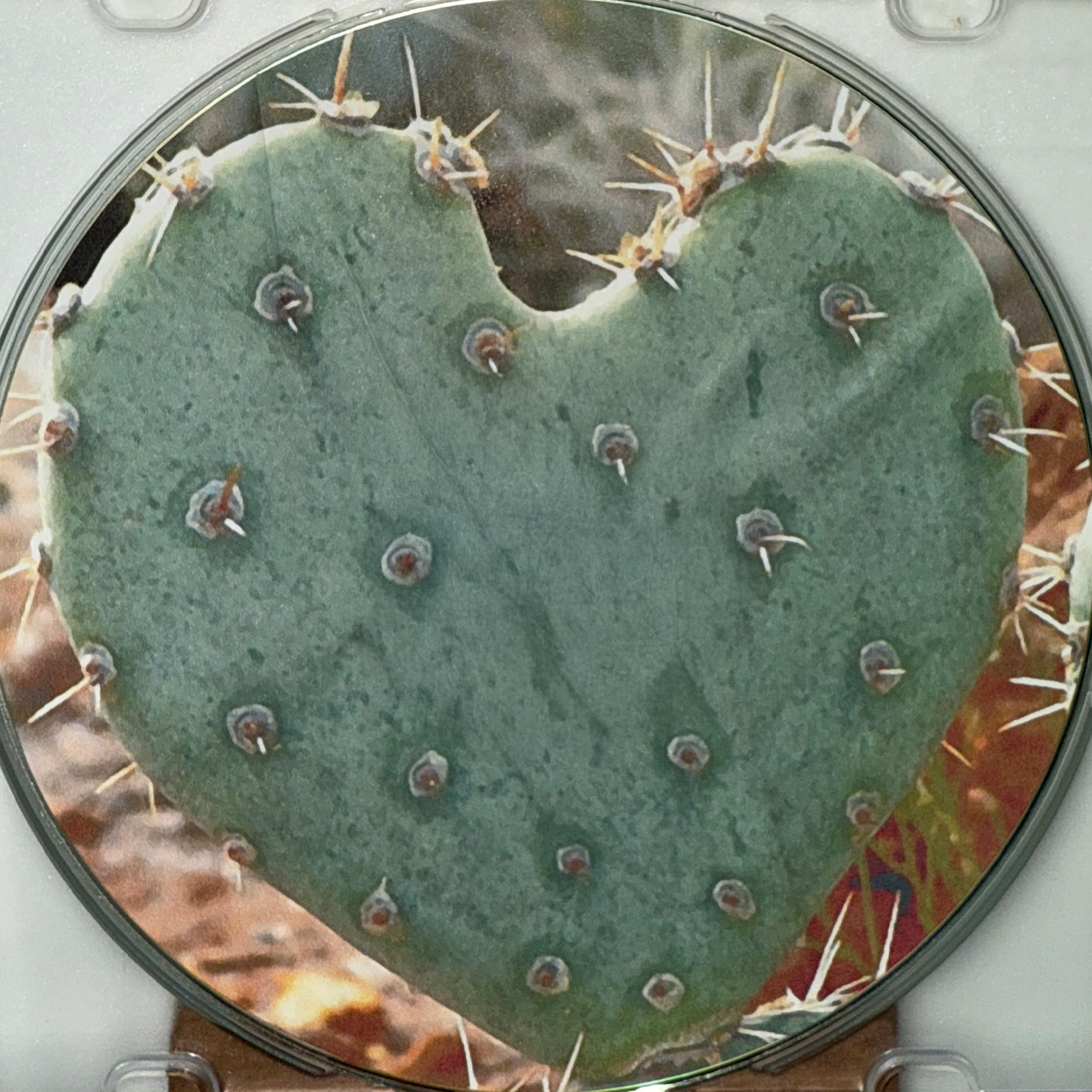 grandAllusions_DISC.png