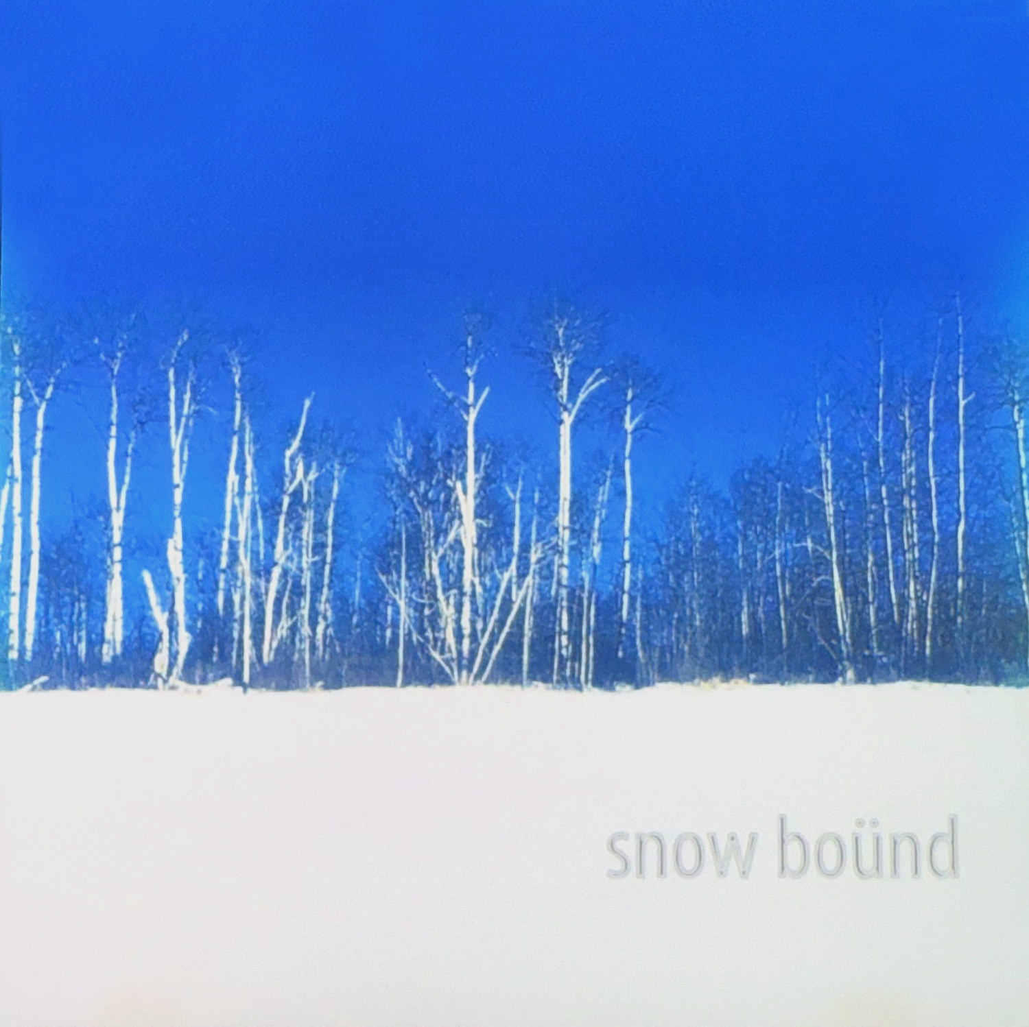 snowbound_COVER.png