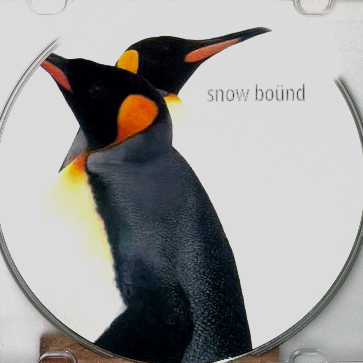 snowbound_DISC.png