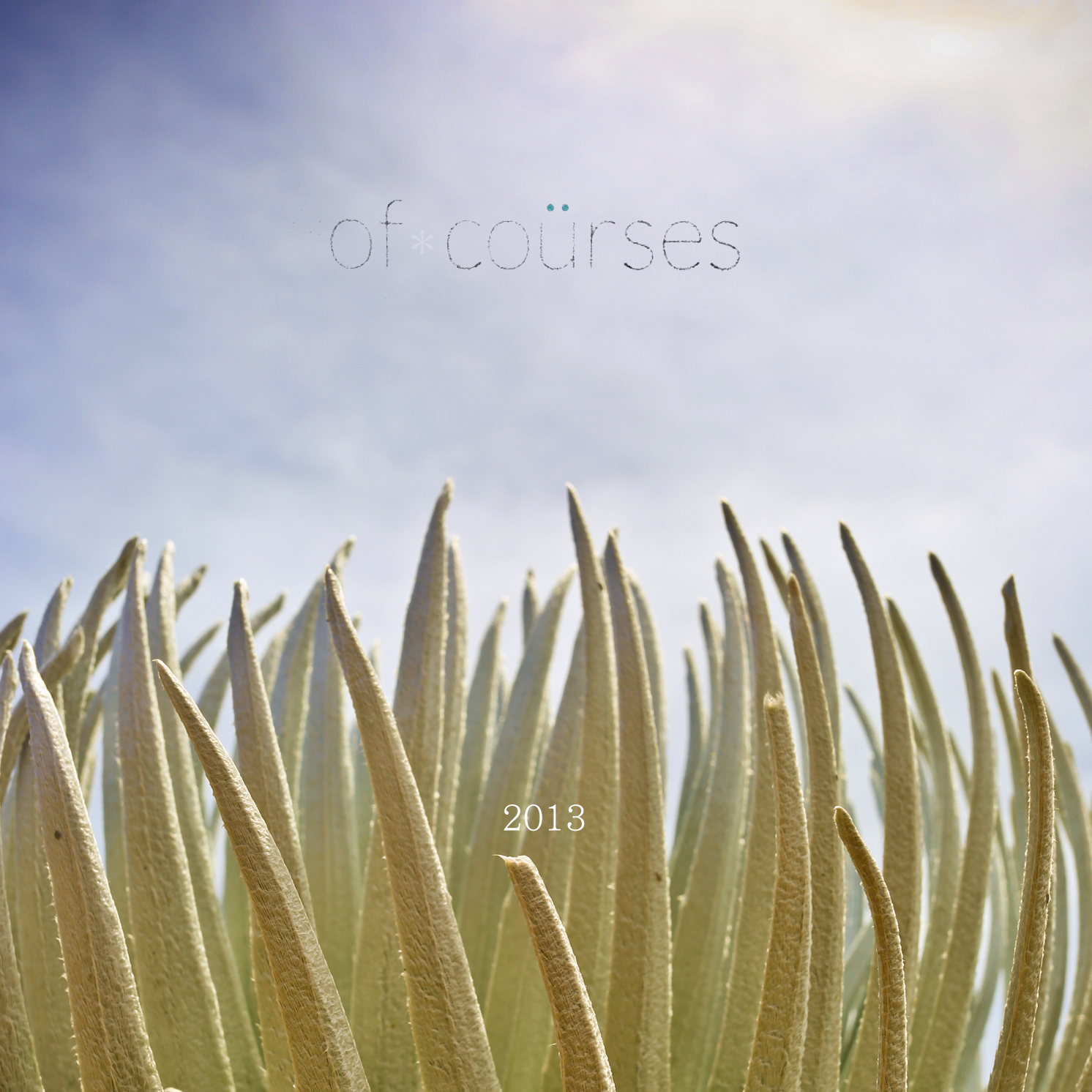 ofCourses_DISC.png