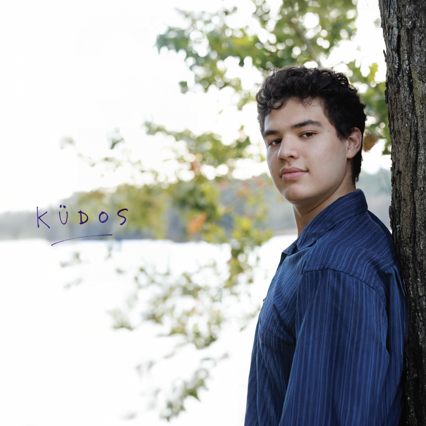 KUDOS_DISC.png