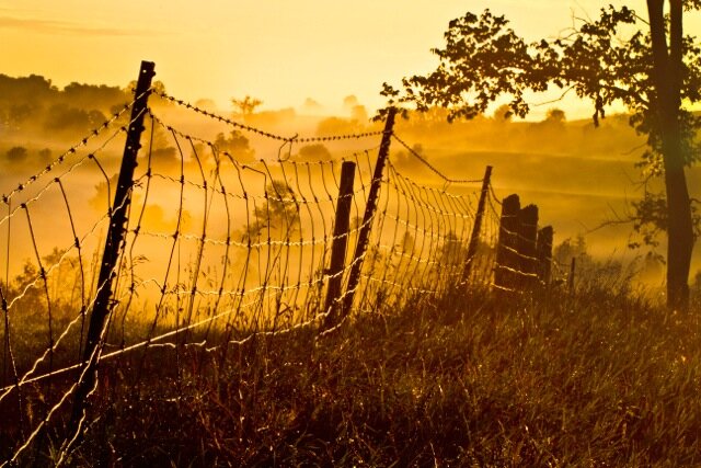 Fence in Sunrise.jpeg