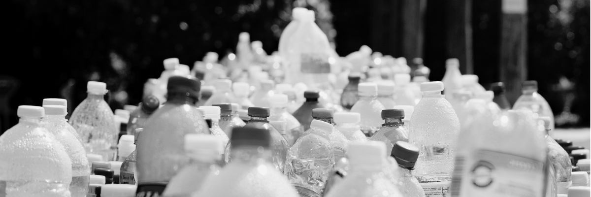 Sustainability Requires Alignment. Training Produces Results. (20).png