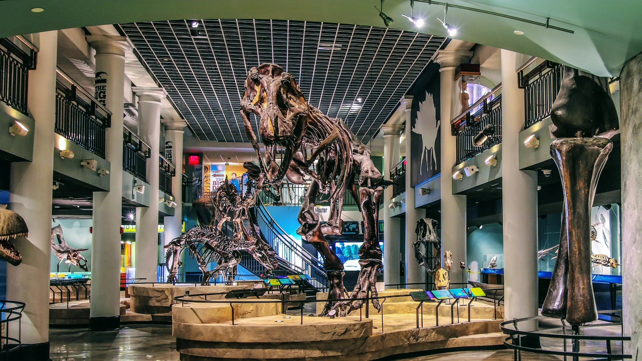 Dinosaur Hall - Academy of Natural Sciences.jpg