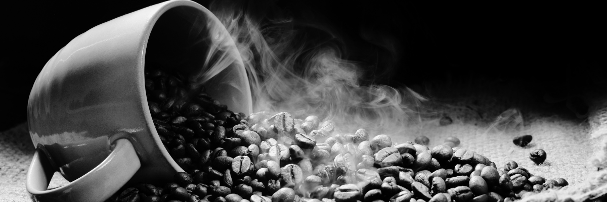 Website Banners 2 (1).png
