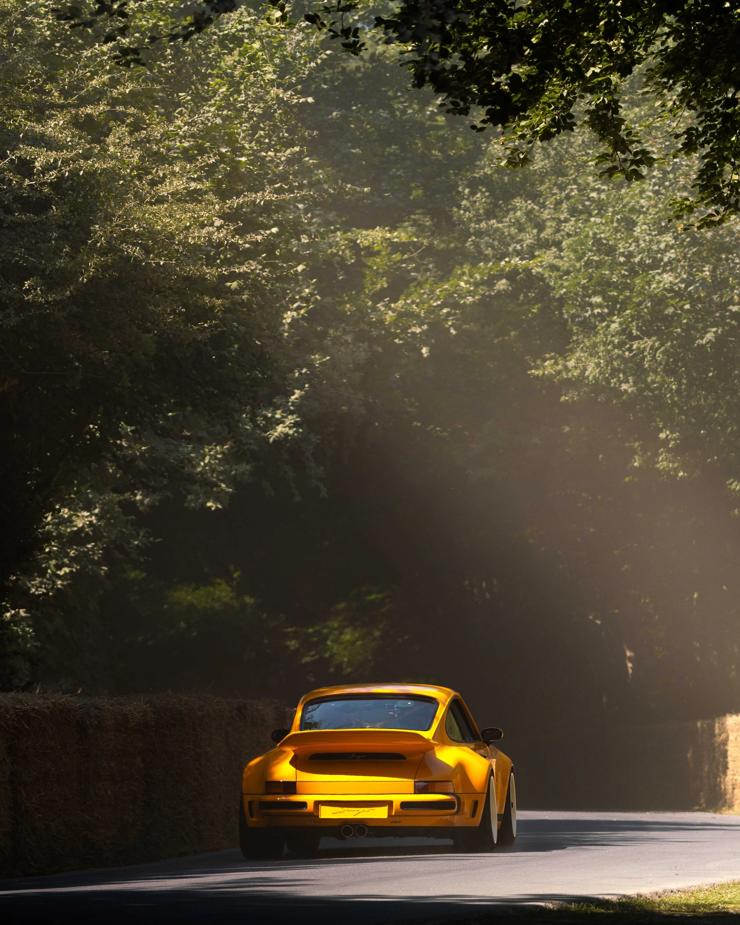 FESTIVAL OF SPEED 25