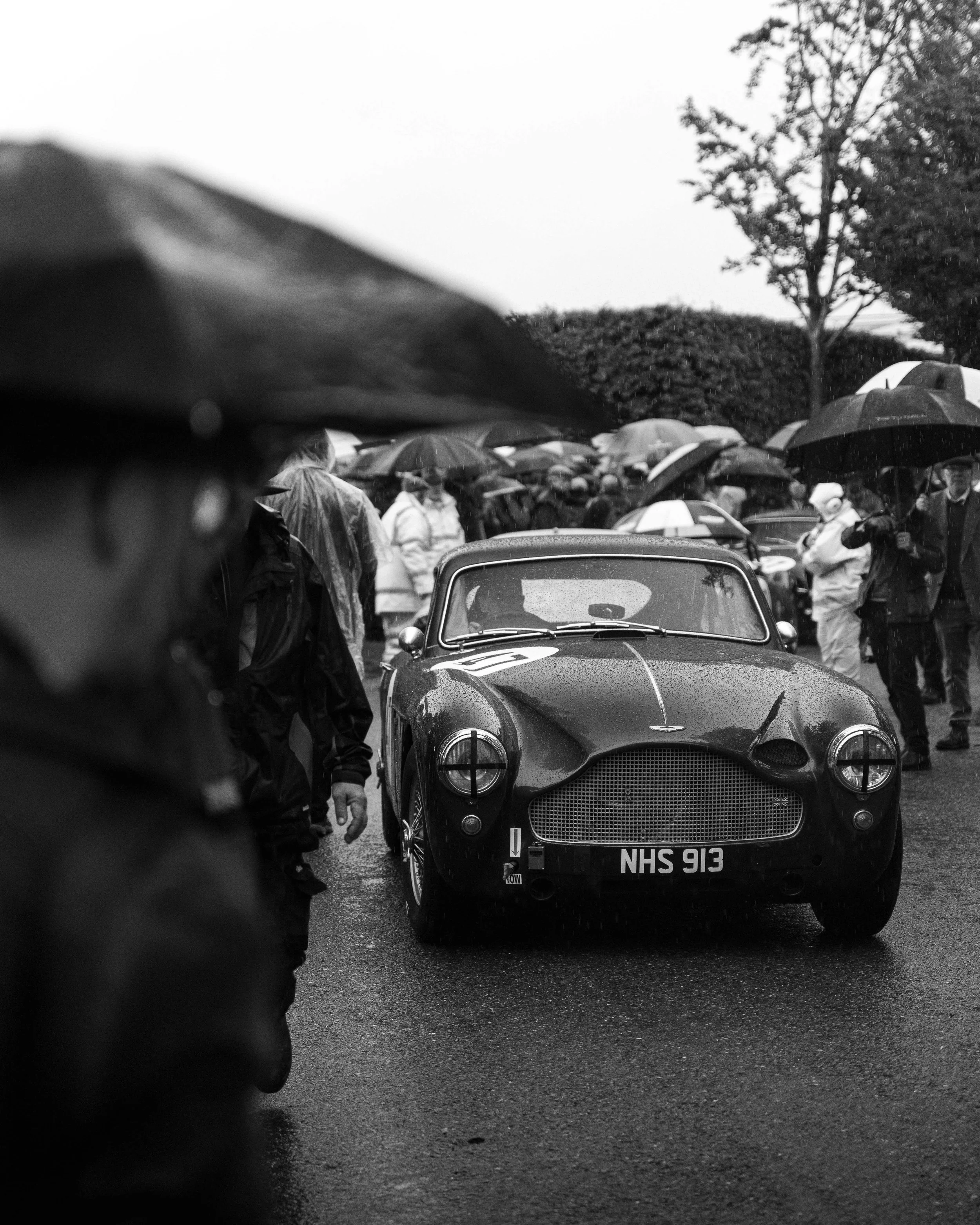 GOODWOOD REVIVAL 24