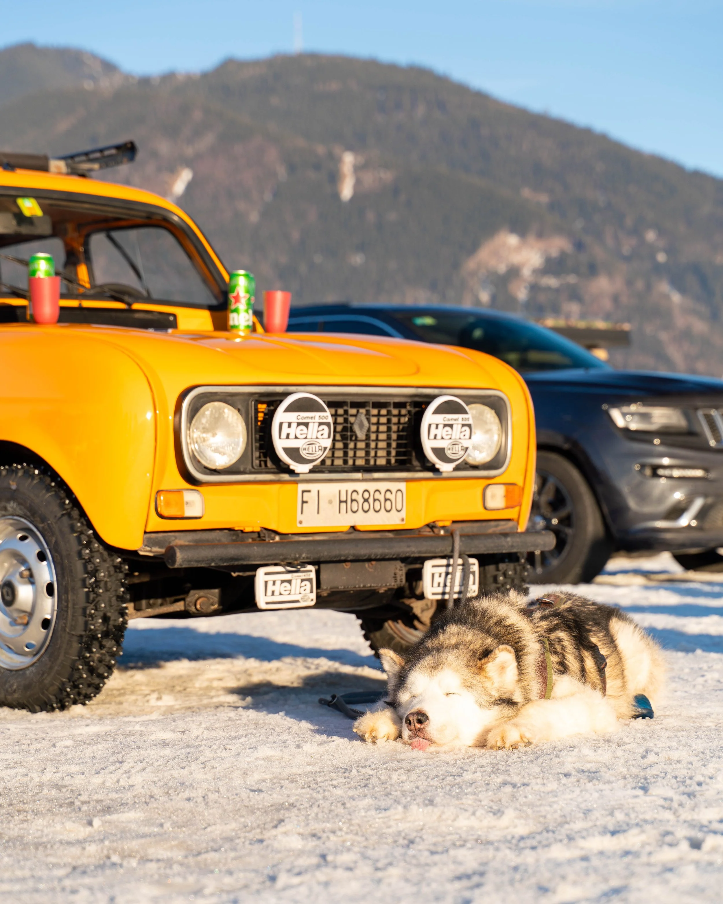 F.A.T ICE RACE