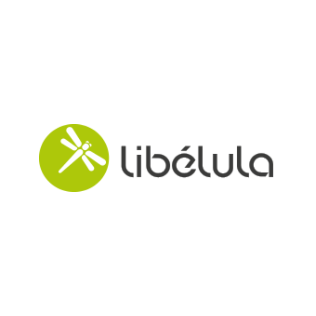 Libélula