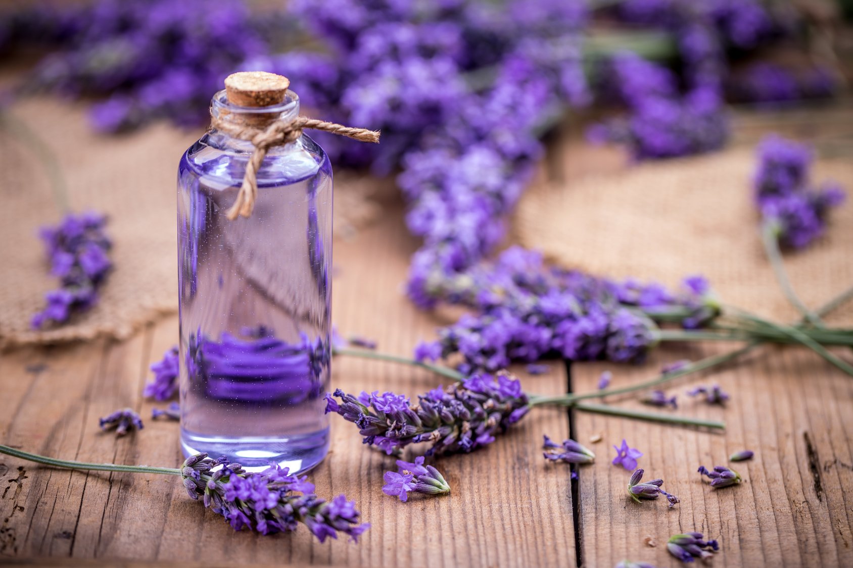Millefleurs Lavender Essential Oil.jpeg