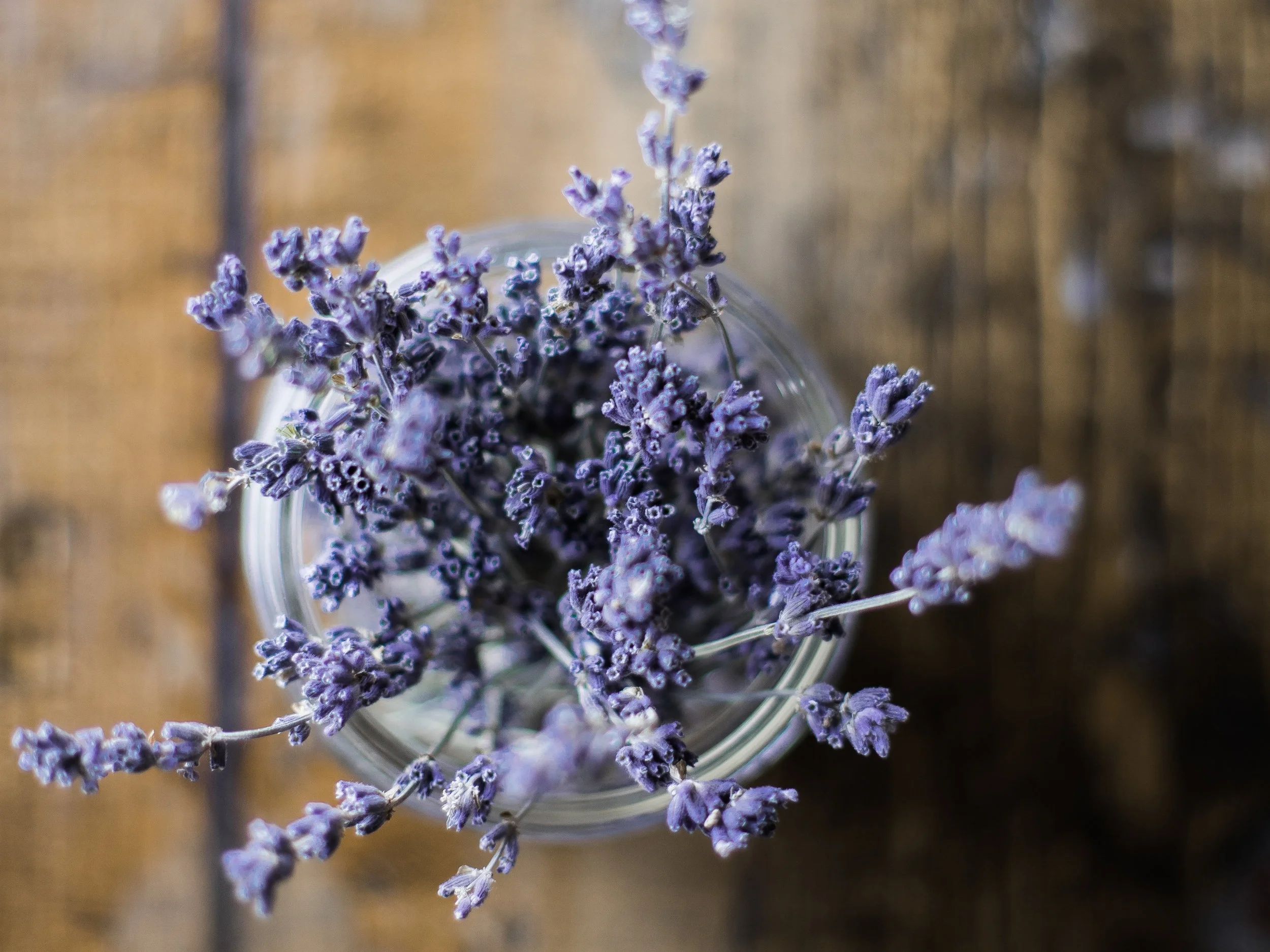 Millefleurs+PEC+Lavender+Bouquet.jpg