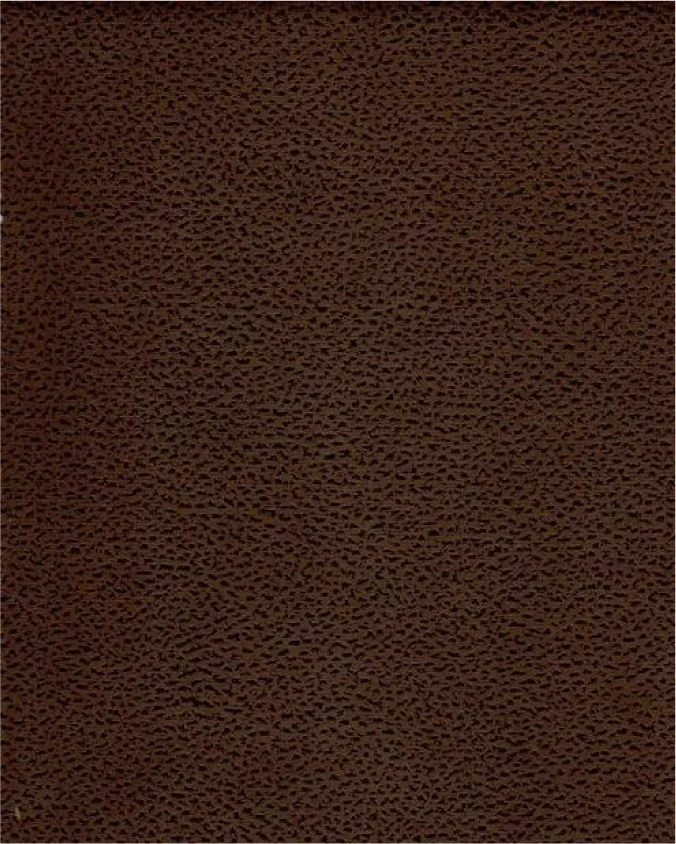 Mainstay Suites-02.jpg