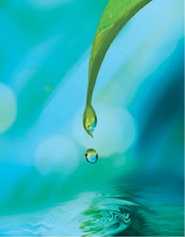 EVEN Hotel - Color Board - Tranquil Scheme-02.jpg